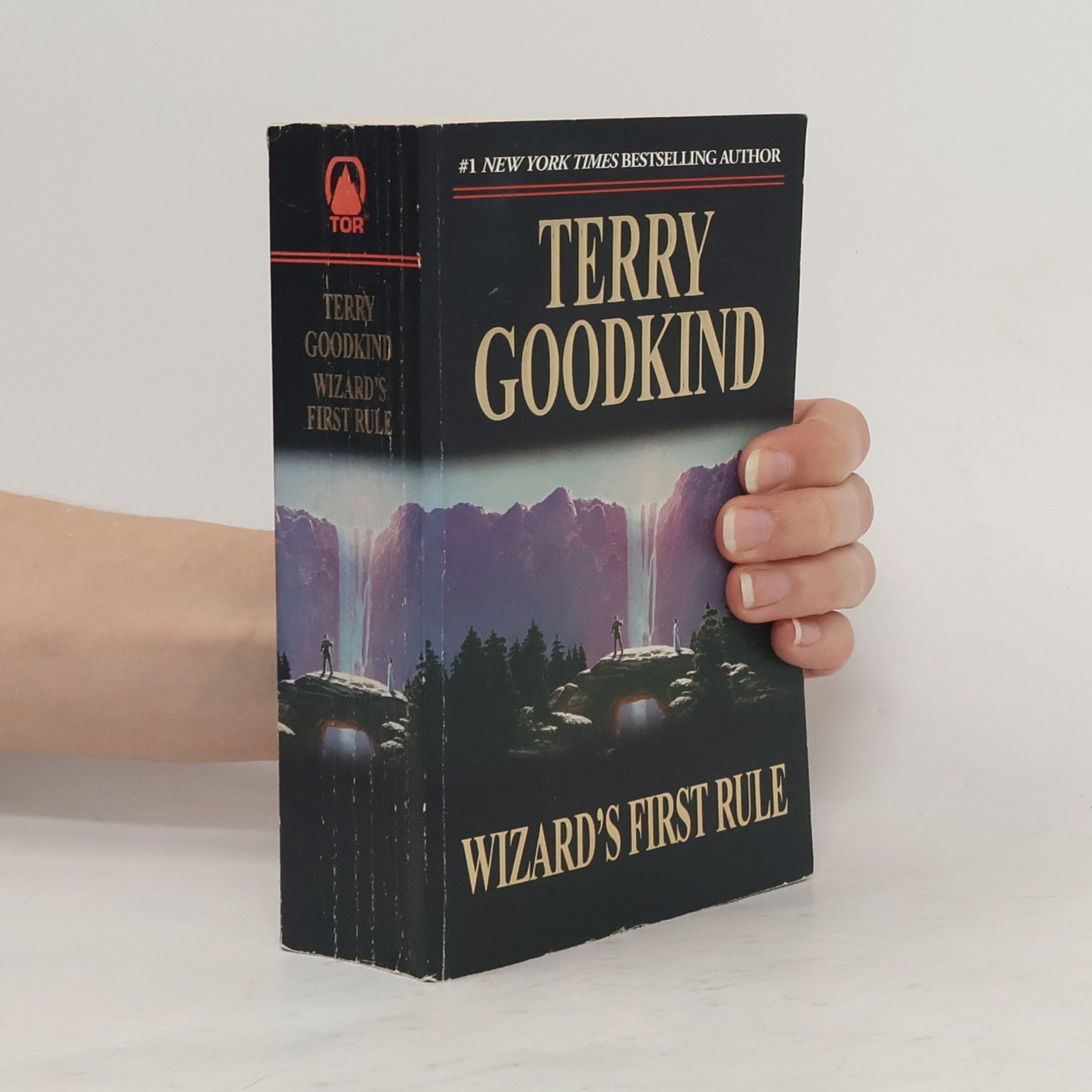 Terry Goodkind Wizard's First Rule