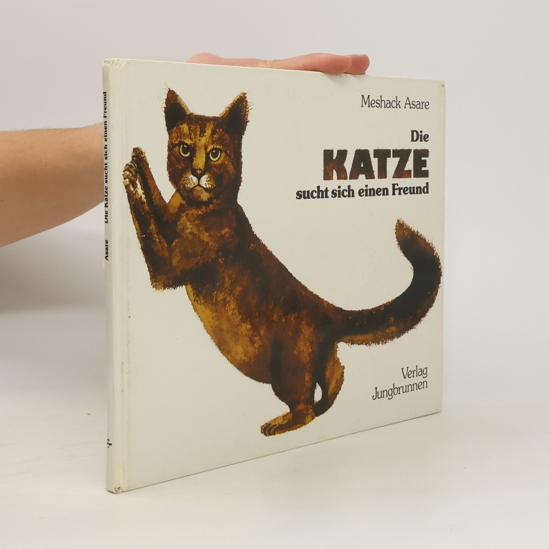 Meshack Asare Die Katze sucht sich einen Freund