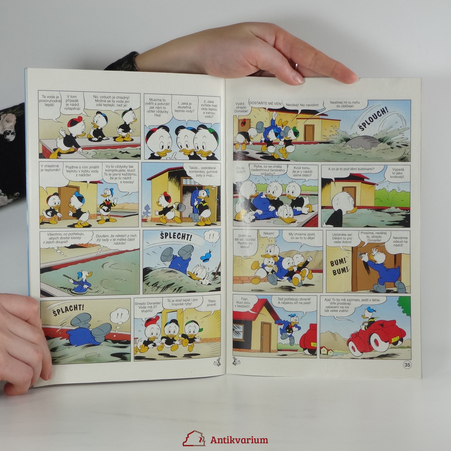 Kolektiv autorů Kačer Donald 19/13