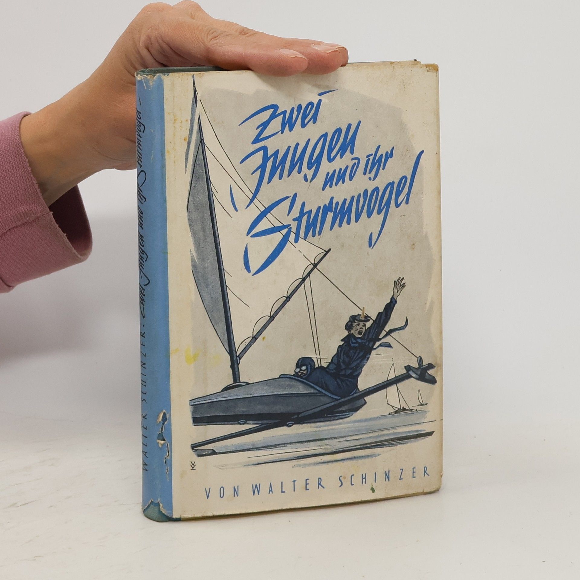 Walter Schinzer Zwei Jungen und ihr Sturmvogel