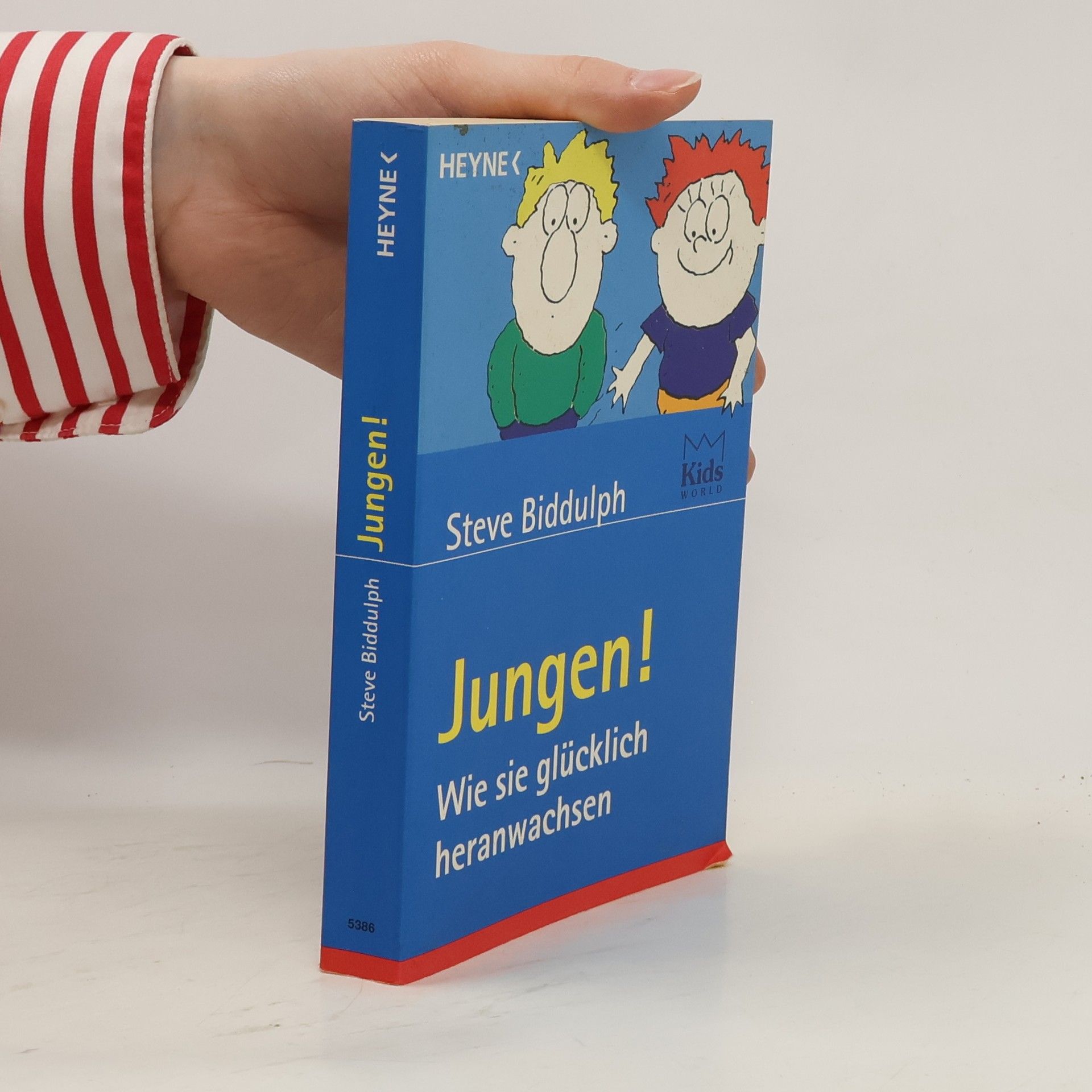 Steve Biddulph Jungen. Wie sie glücklich heranwachsen