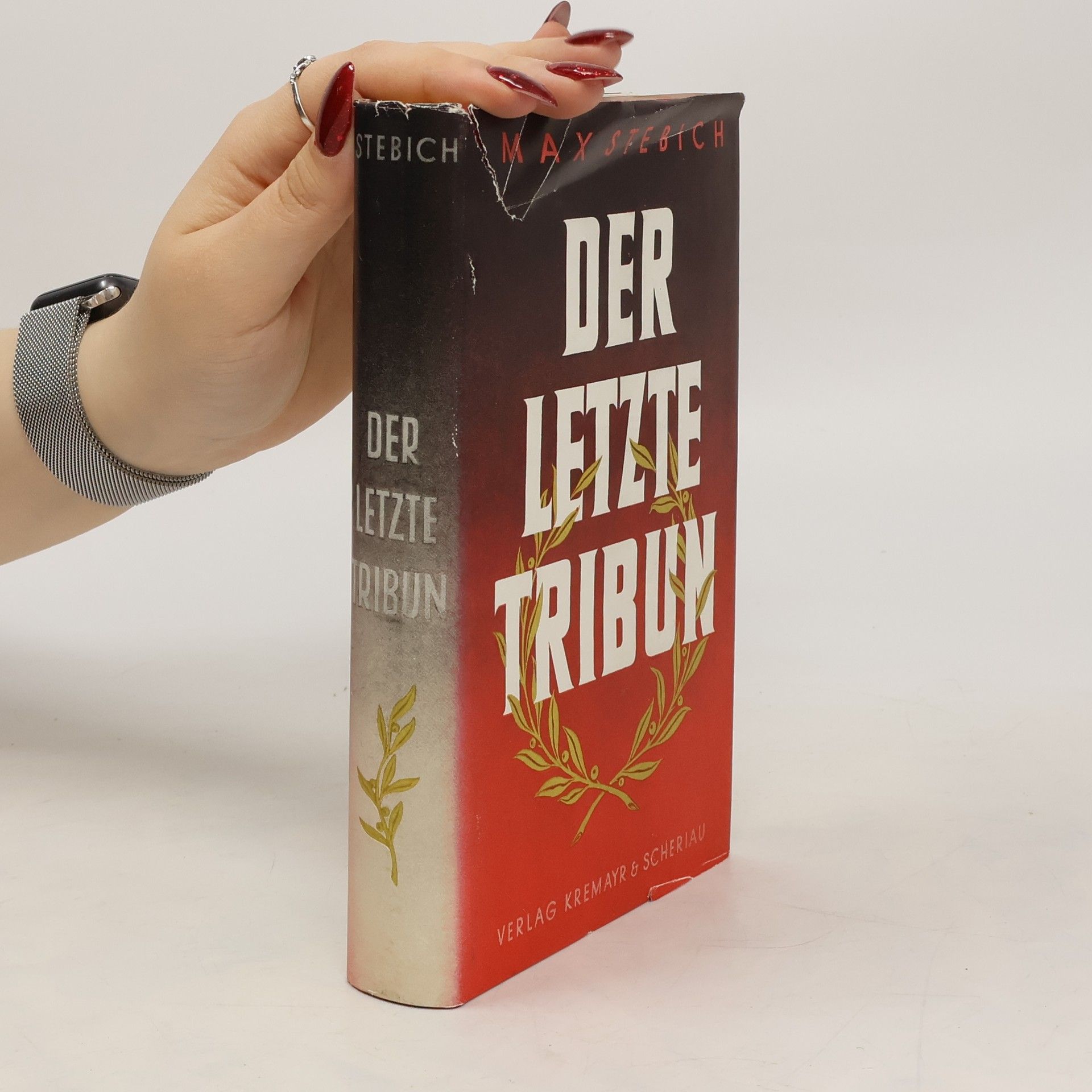 Max Stebich Der Letzte Tribun