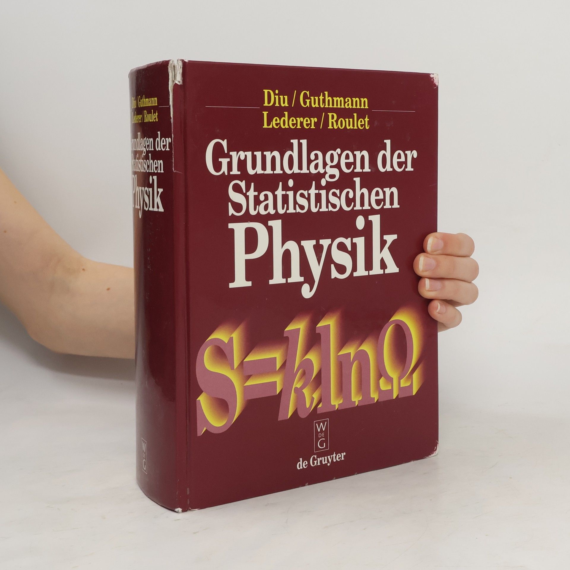Bernard Diu Grundlagen der statistischen Physik
