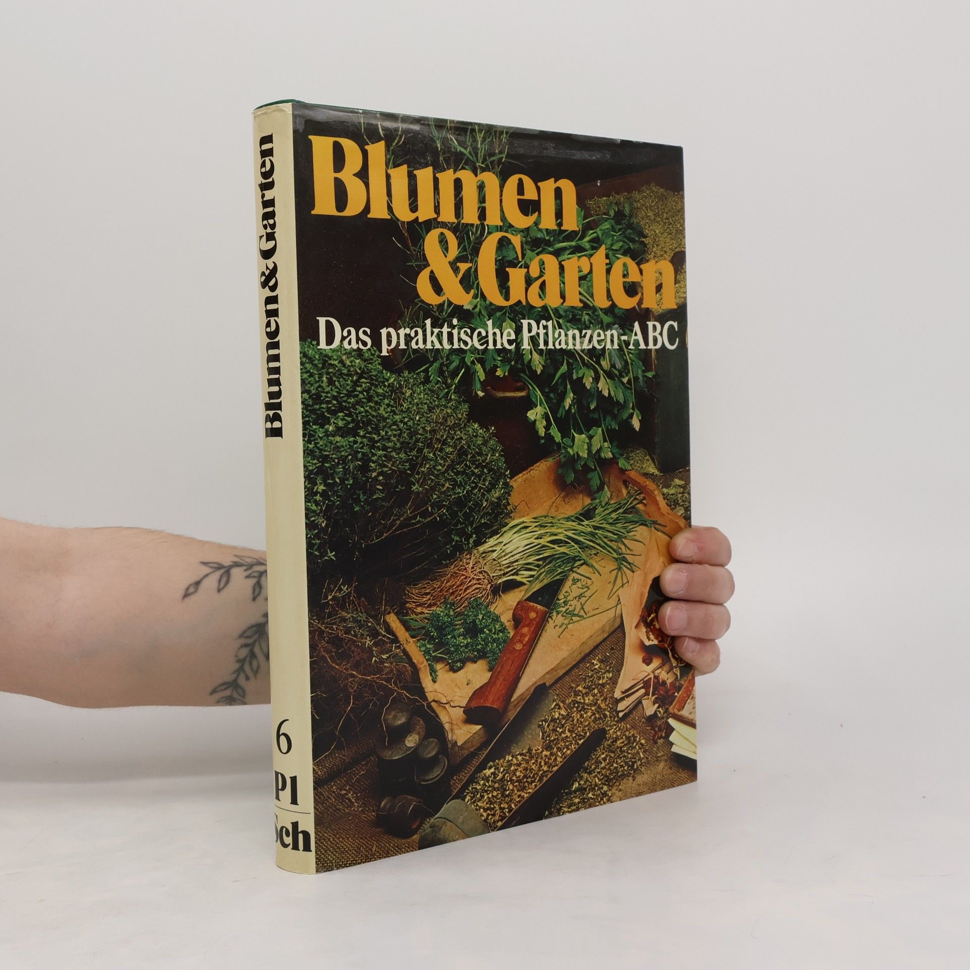 kolektiv Blumen & Garten. Das praktische Pflanzen ABC 6