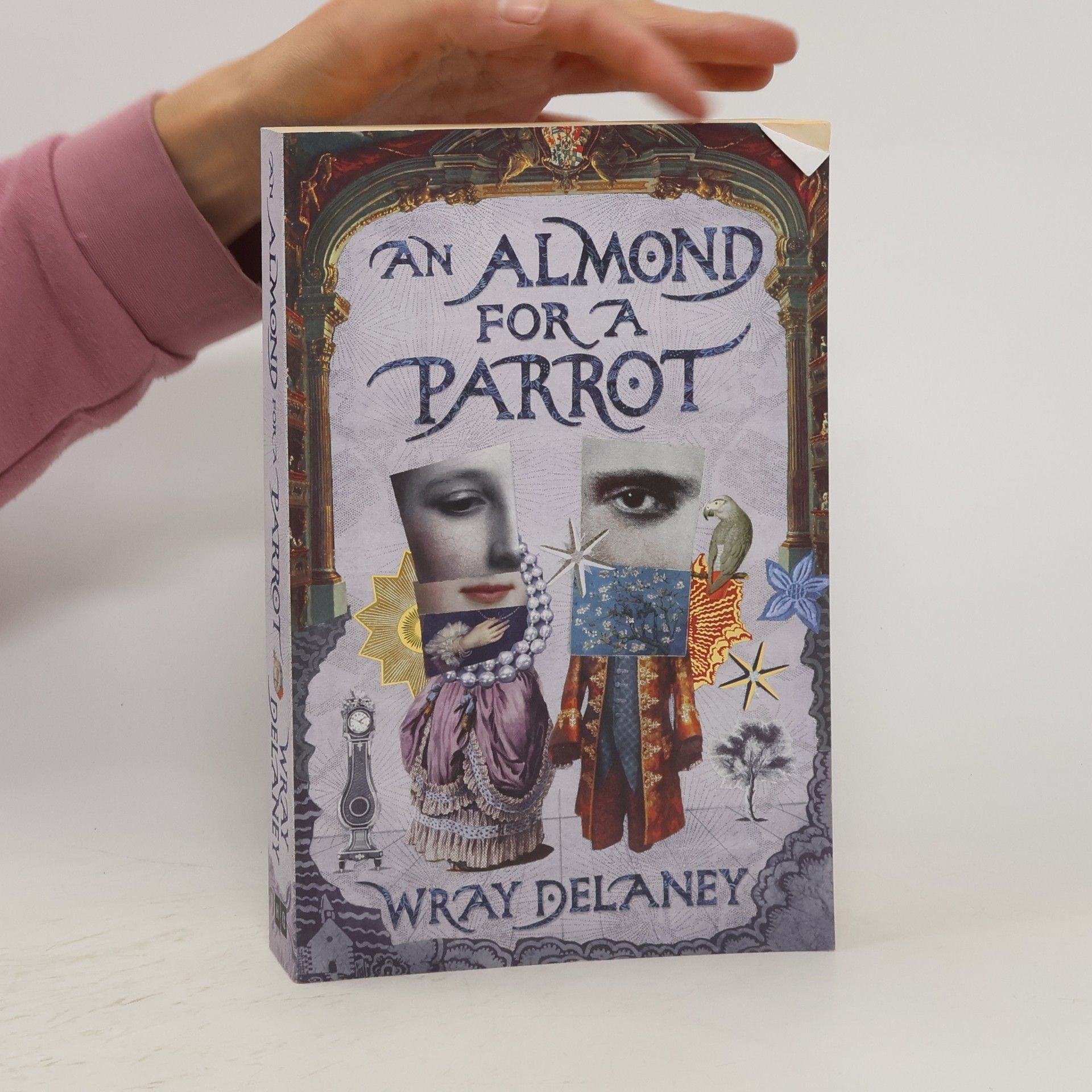Wray Delaney An Almond For A Parrot