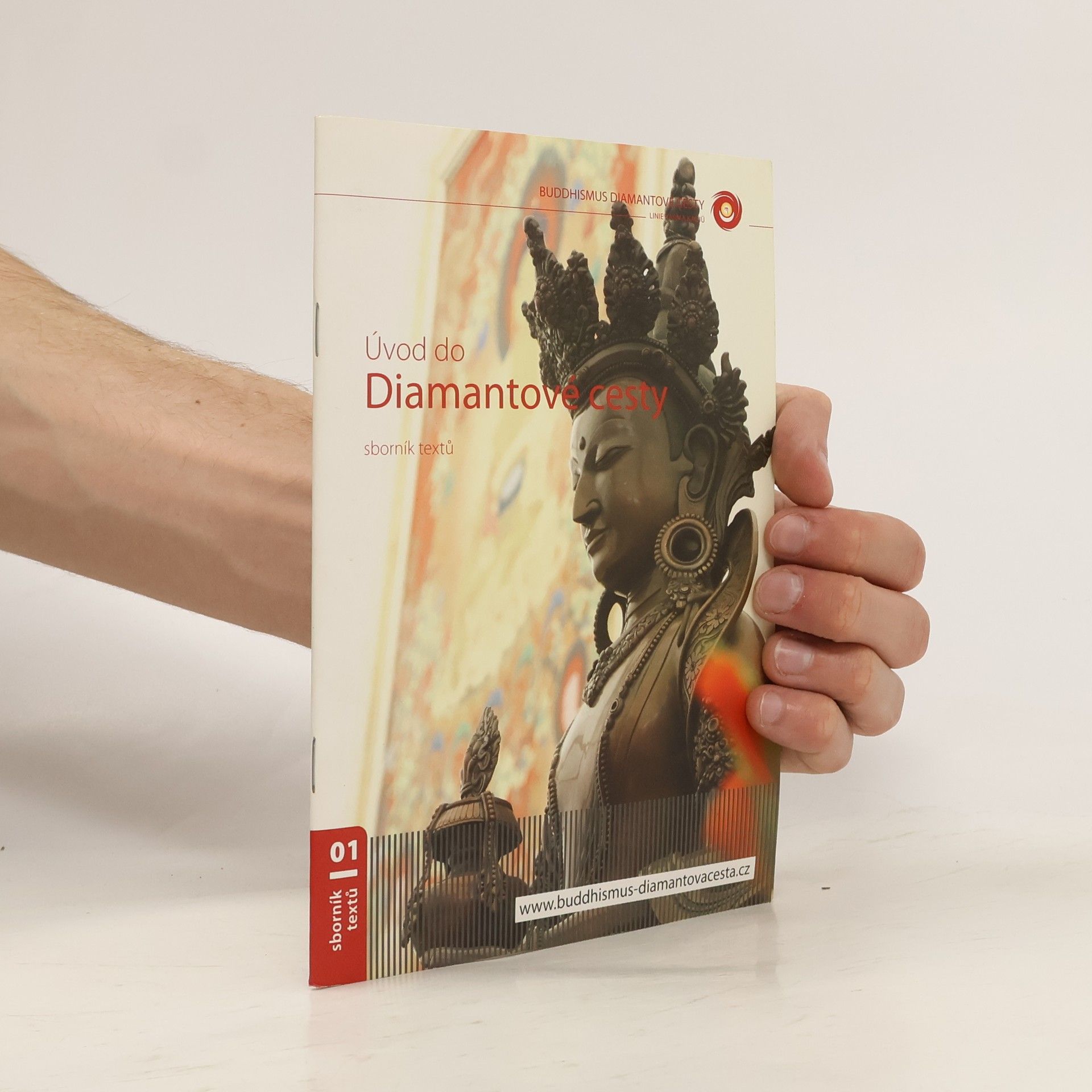 Autorenkollektiv Úvod do Diamantové cesty 1.