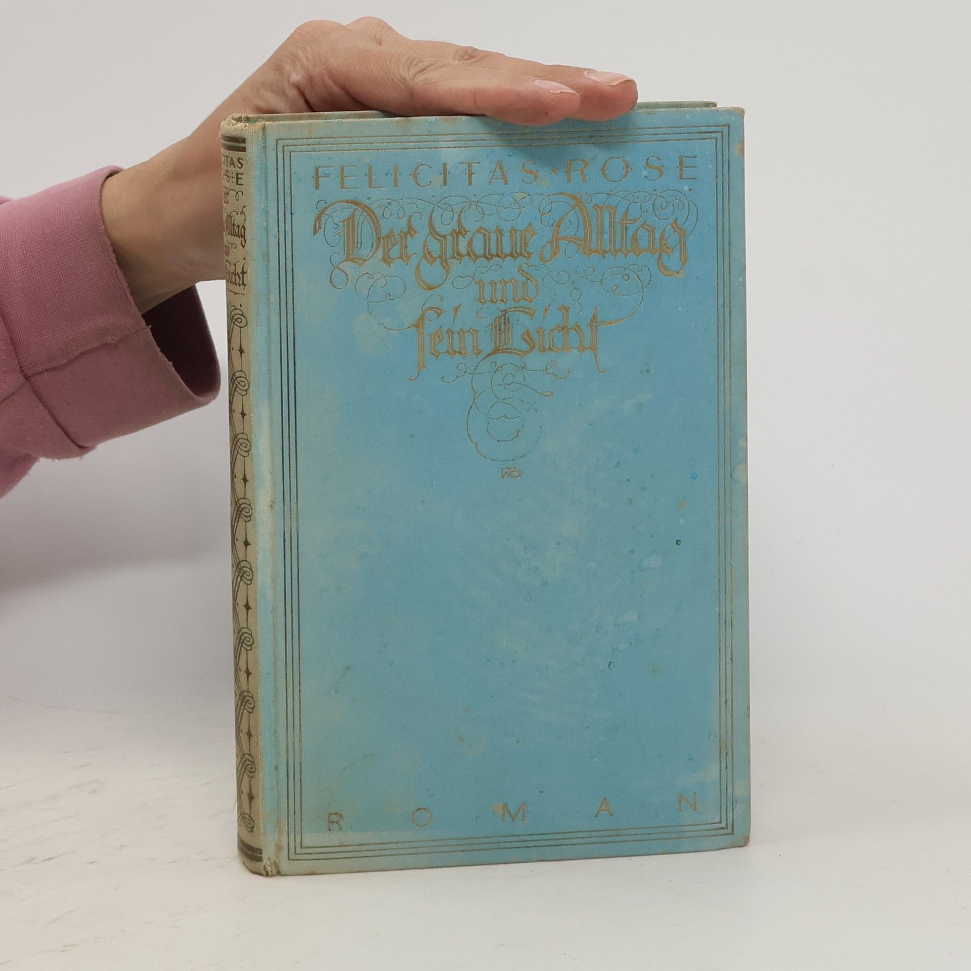 Felicitas Rose Der graue Alltag und sein Licht
