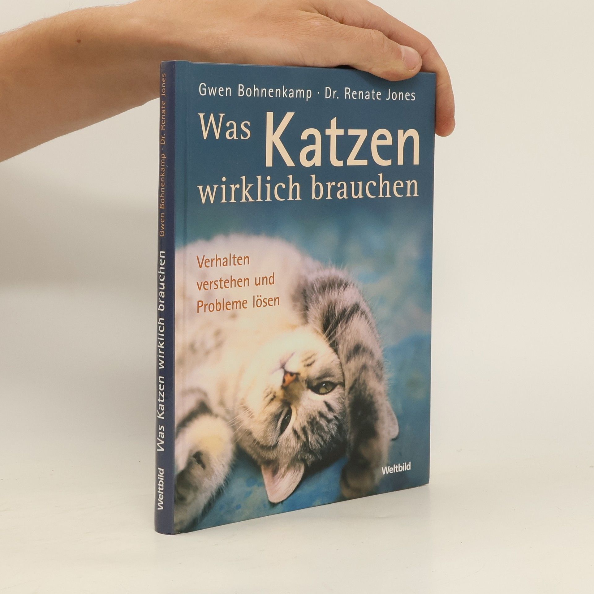 Gwen Bohnenkamp Was Katzen wirklich brauchen