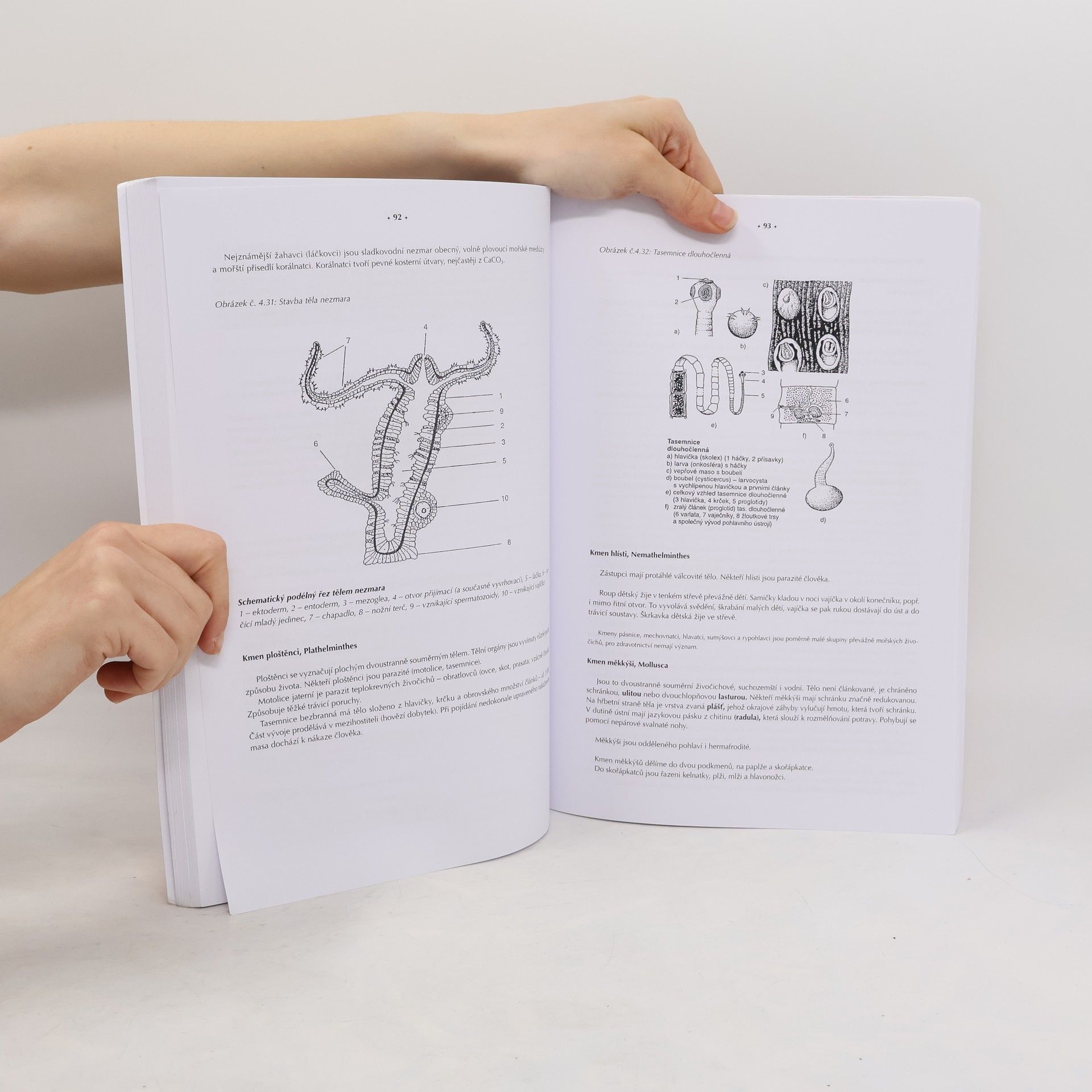 Antonín Hrůza Biologie pro zdravotnické školy