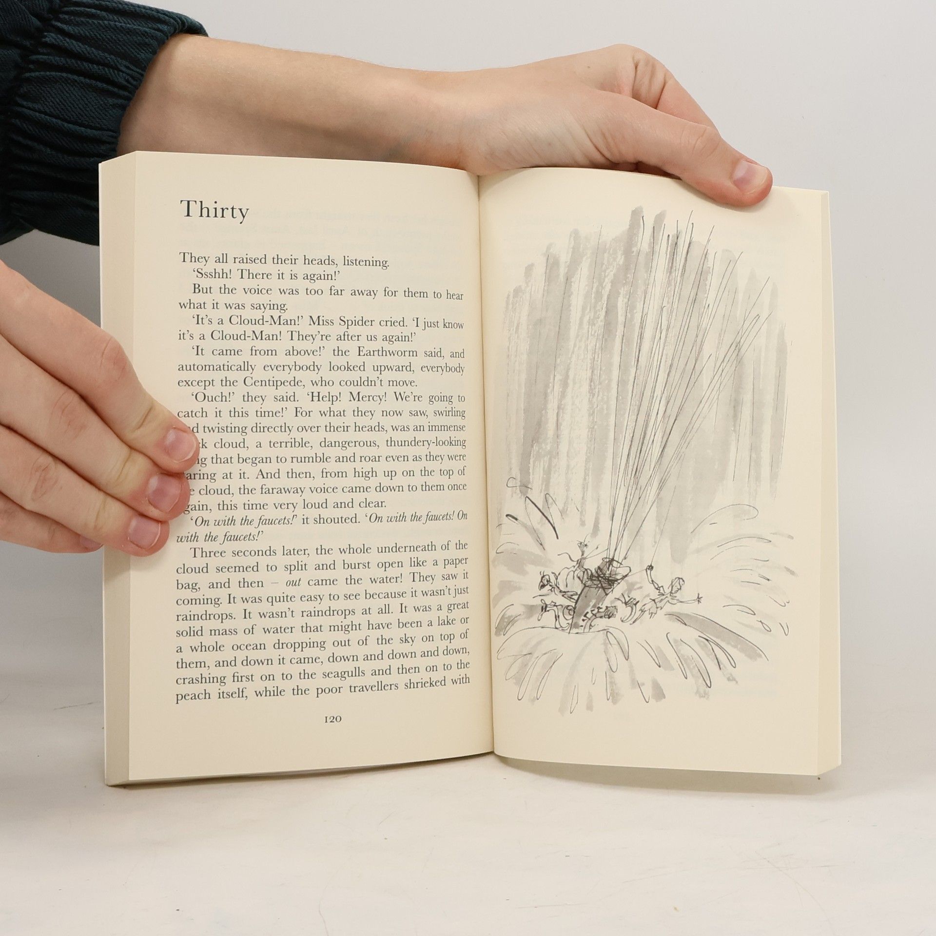 Roald Dahl James and the giant peach