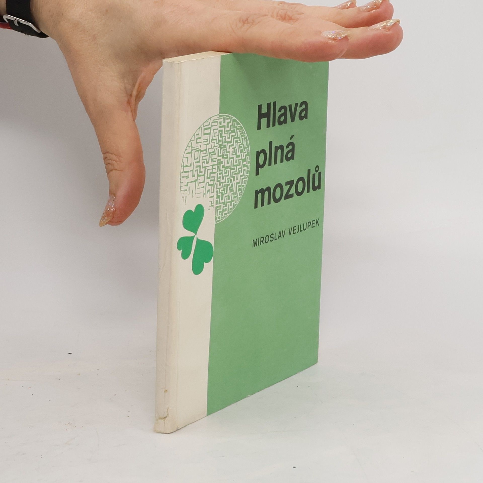 Miroslav Vejlupek Hlava plná mozolů