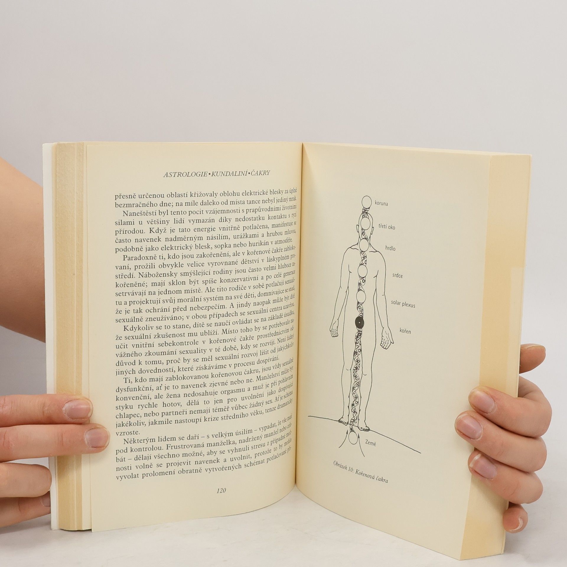 Barbara Hand Clow Astrologie, kundaliní, čakry: Tekuté světlo sexu
