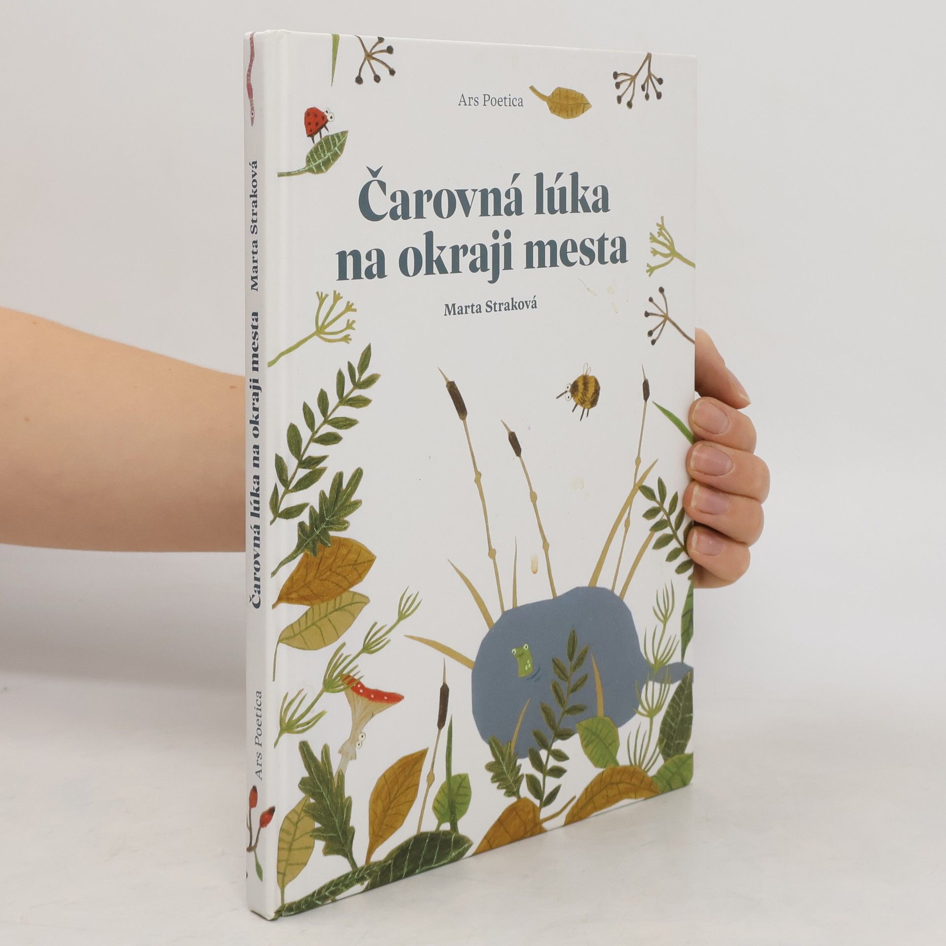 Marta Straková Čarovná lúka na okraji mesta