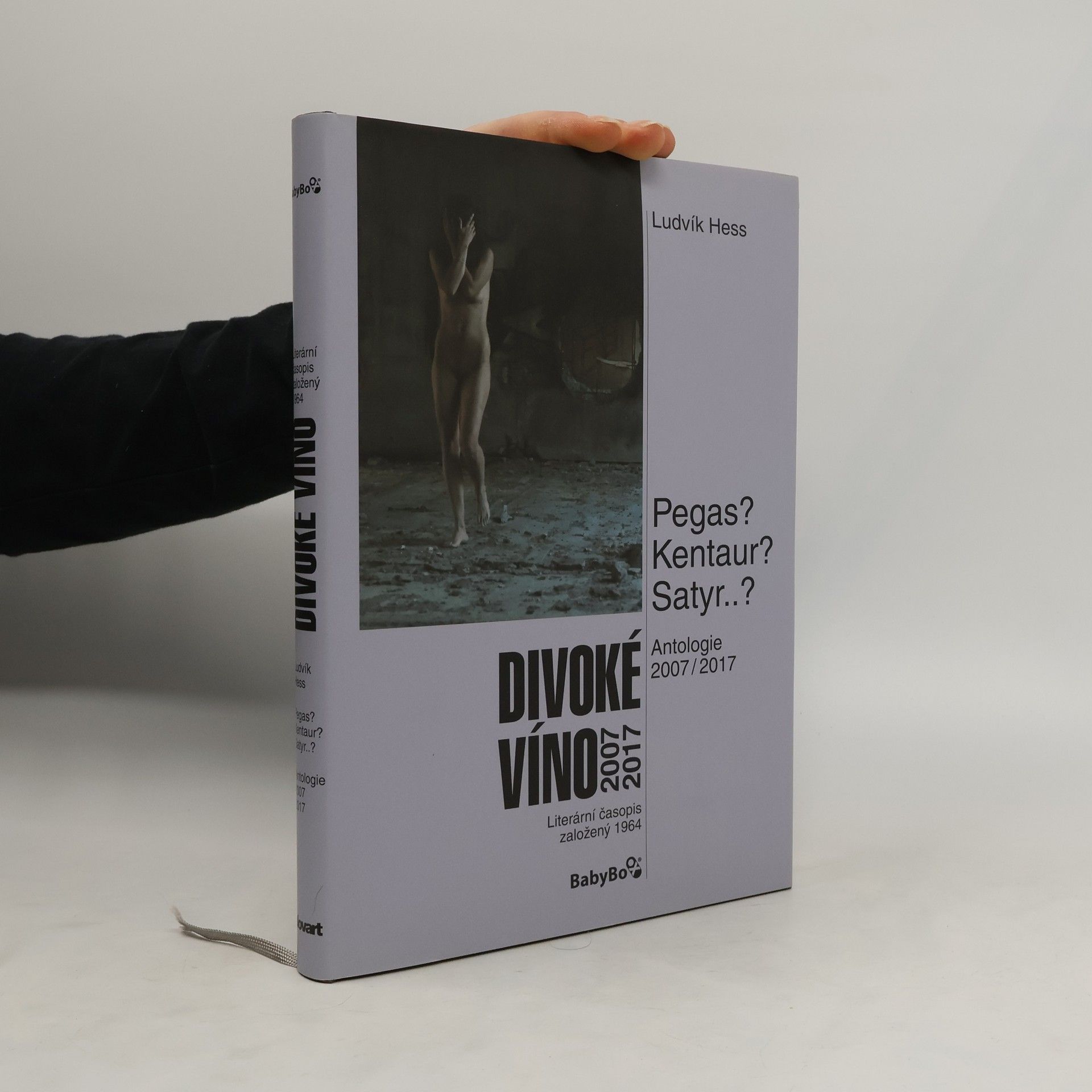 kolektiv Divoké víno 2007-2017