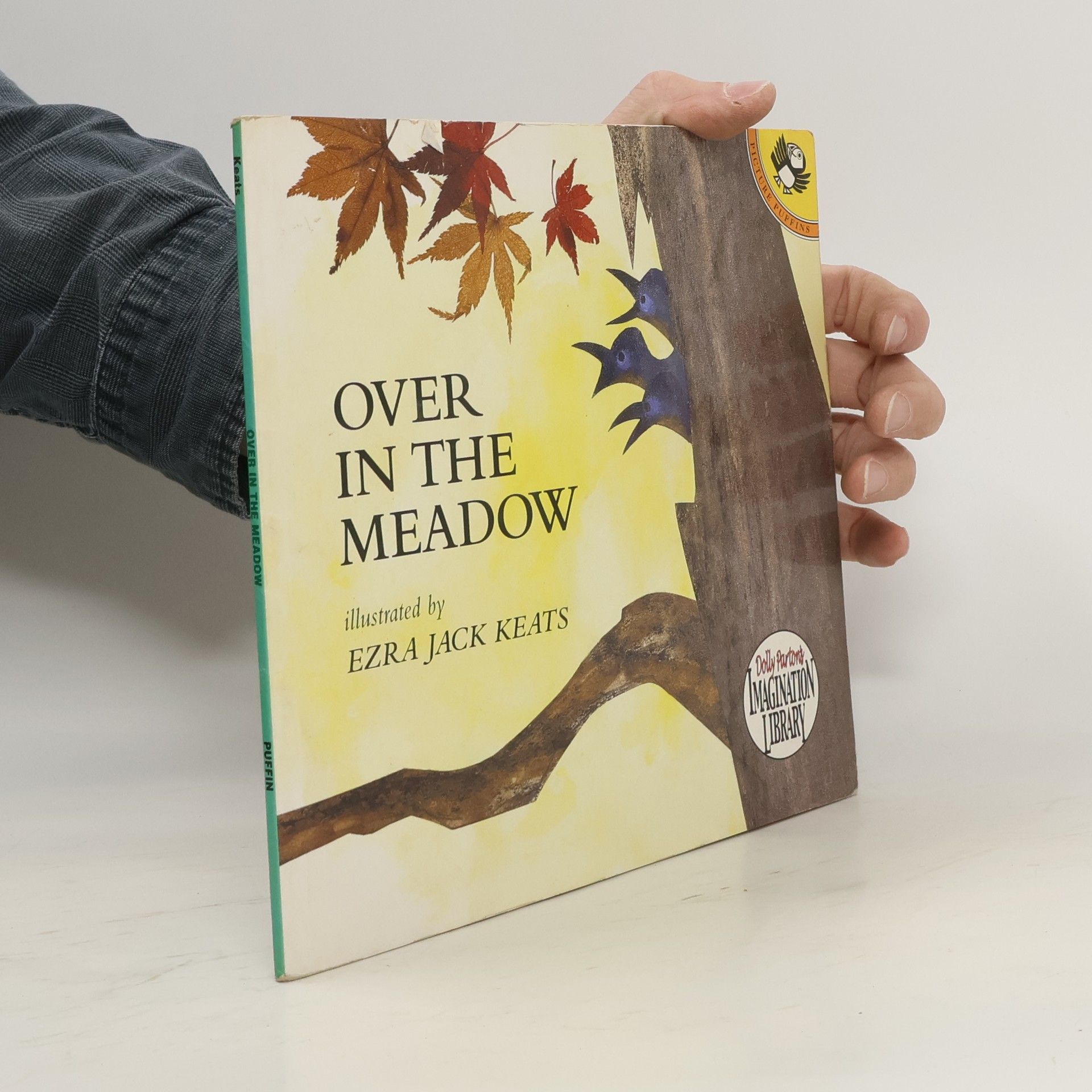 Kolektiv autorů Over in the Meadow