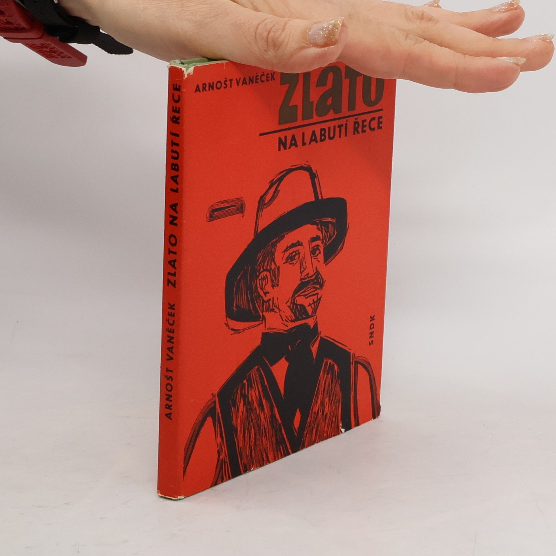 Arnošt Vaněček Zlato na Labutí řece