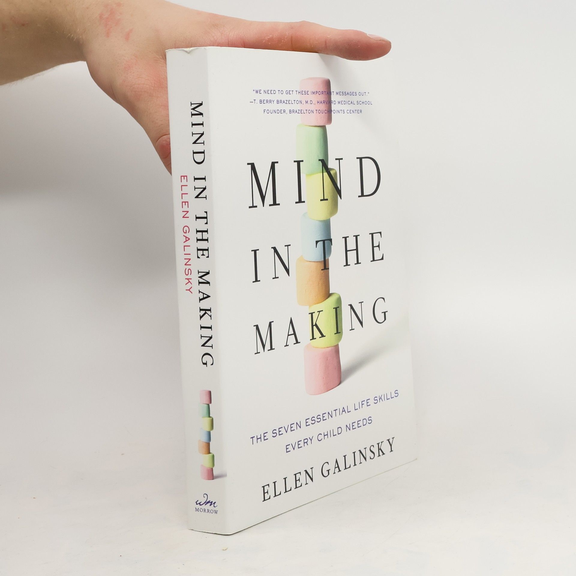 Ellen Galinsky Mind in the Making