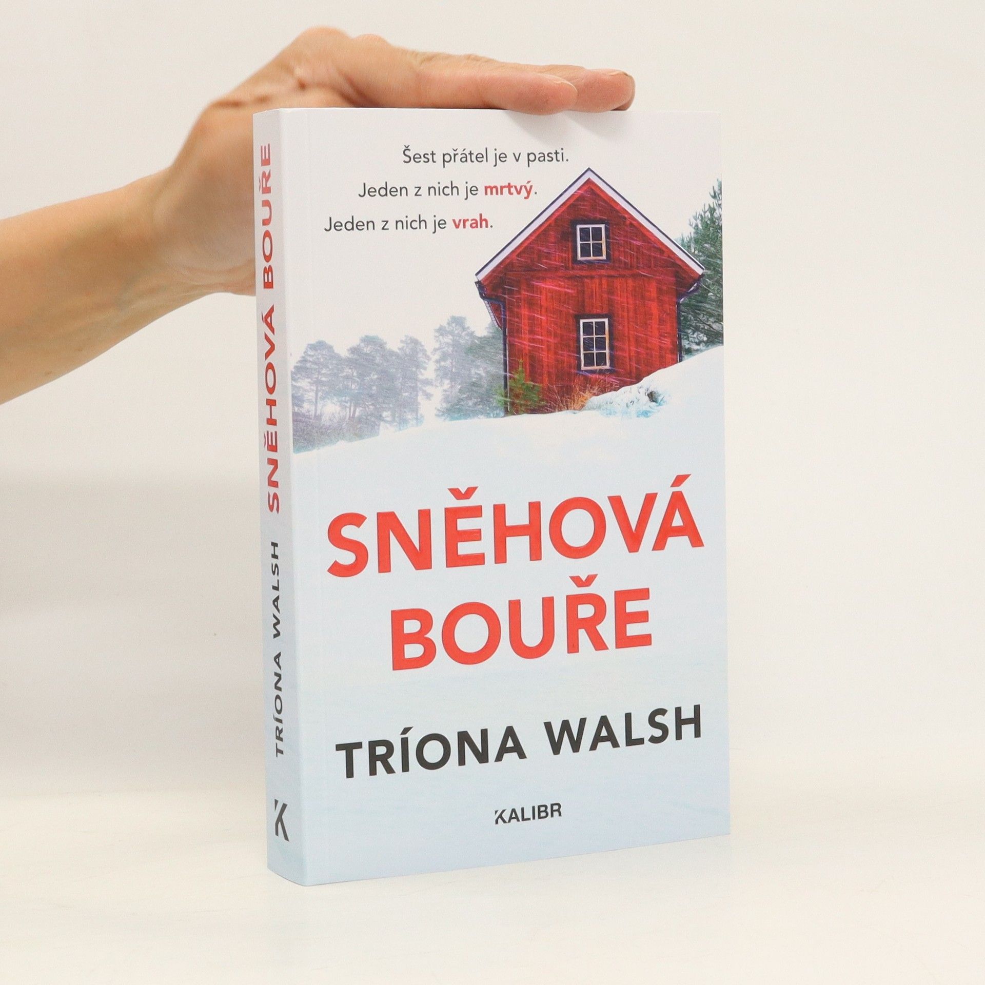 Tríona Walsh Sněhová bouře