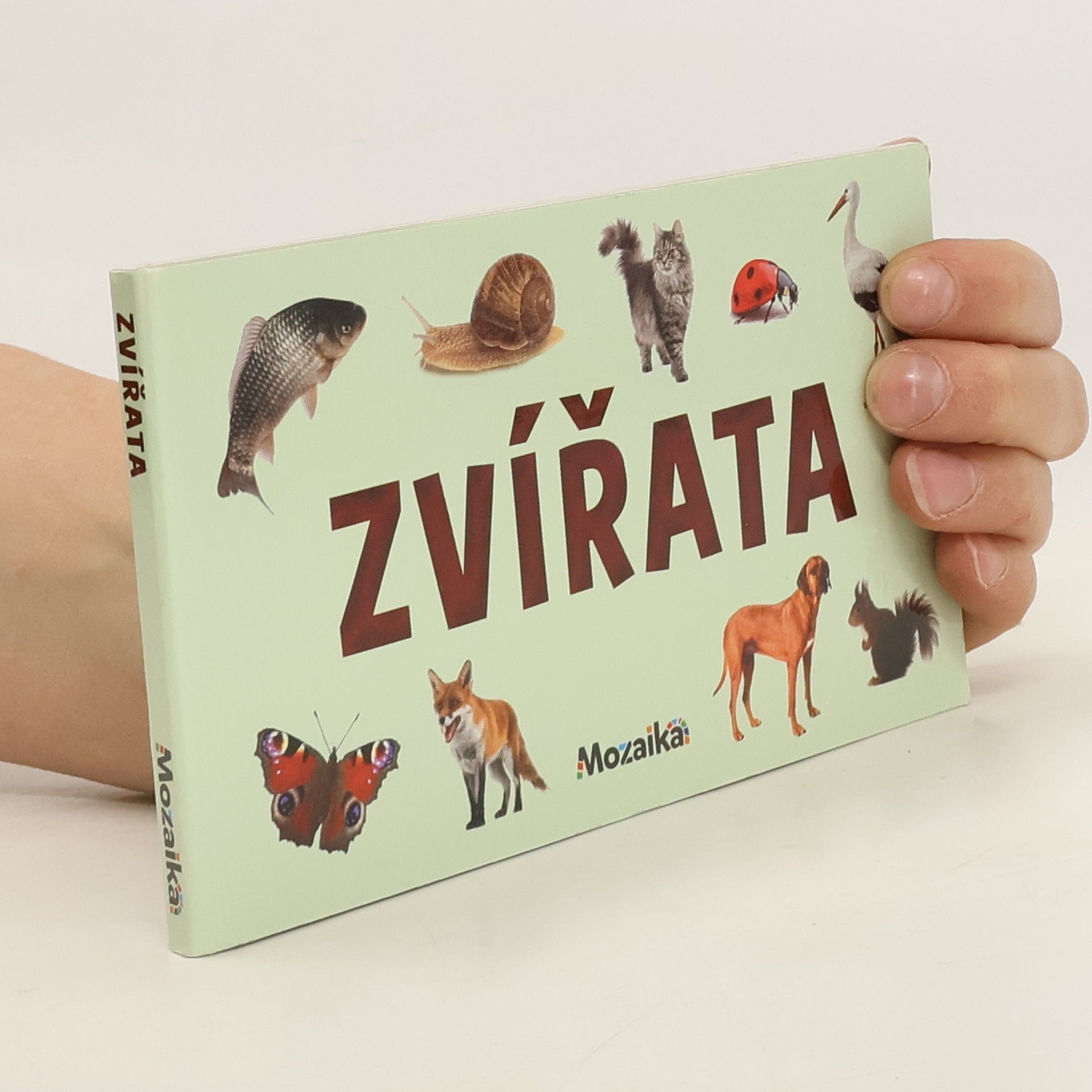 kolektiv Zvířata