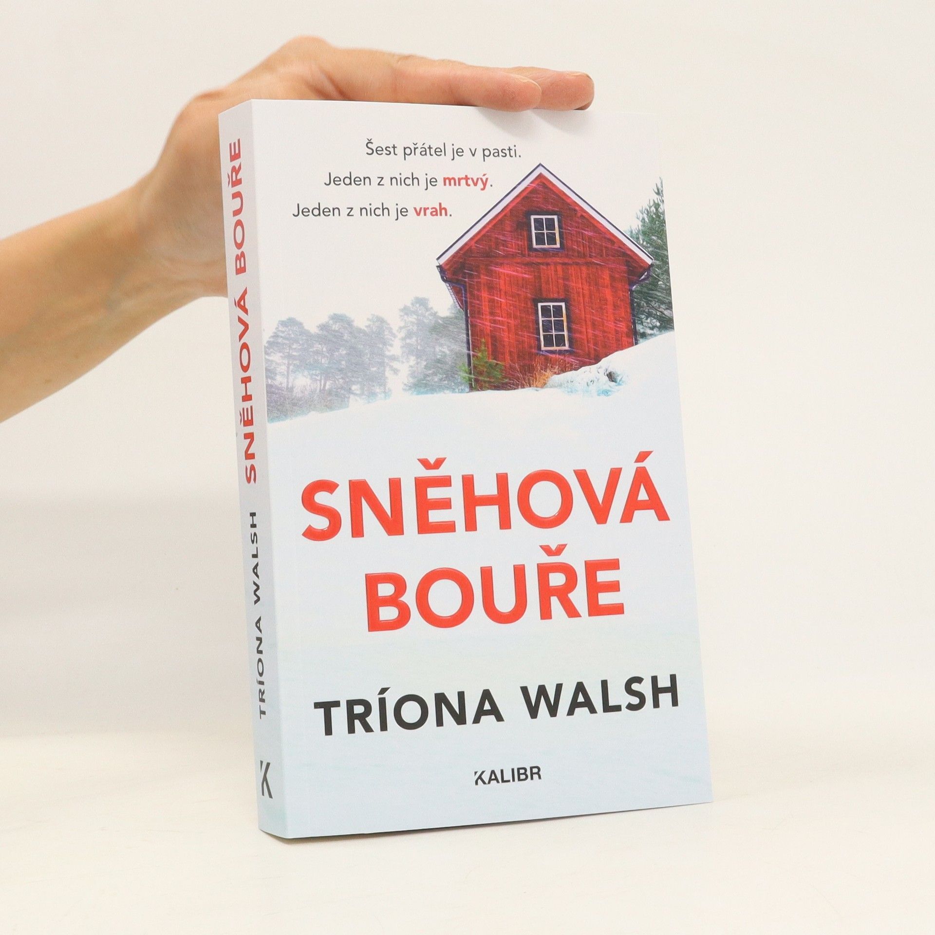 Tríona Walsh Sněhová bouře