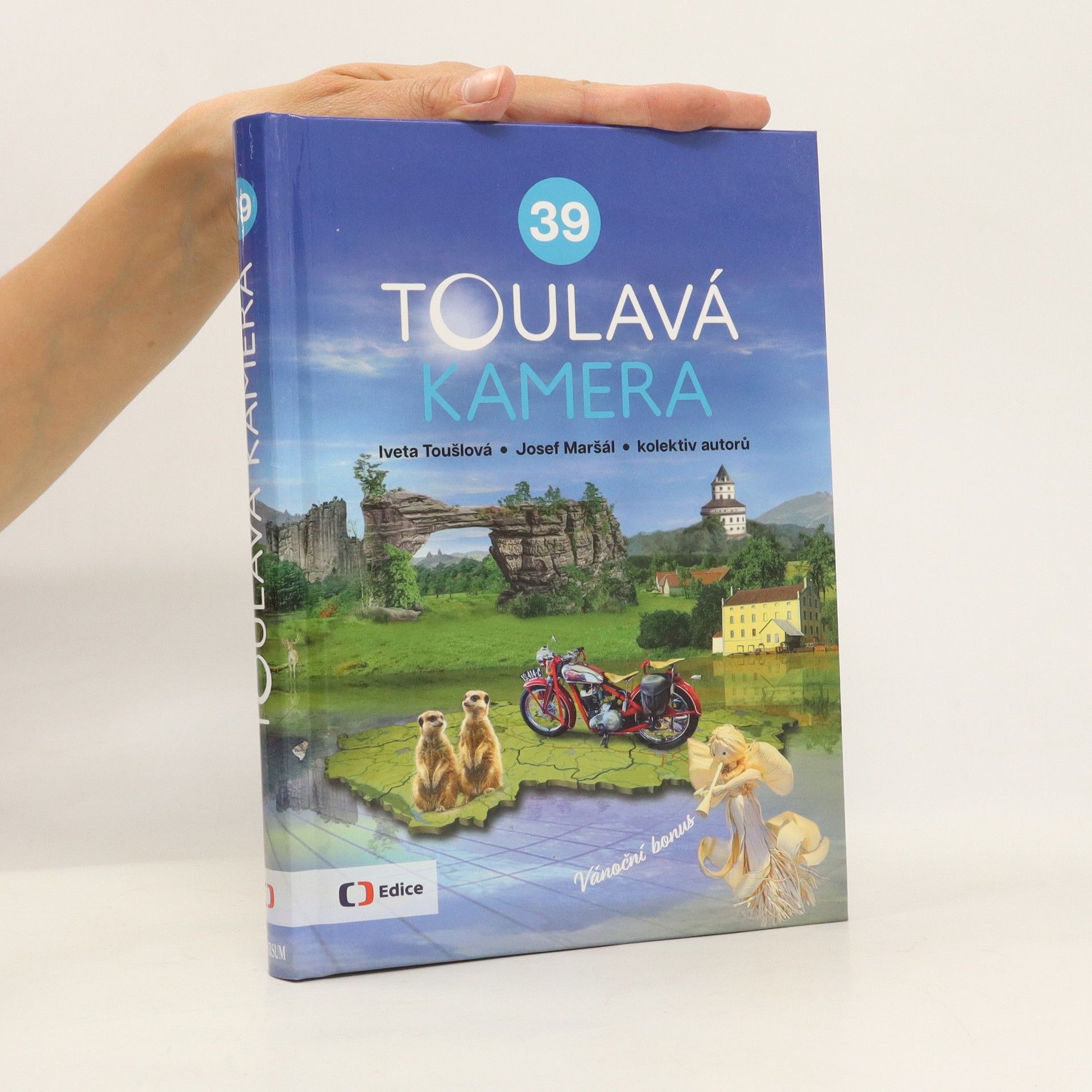 kolektiv Toulavá kamera 39