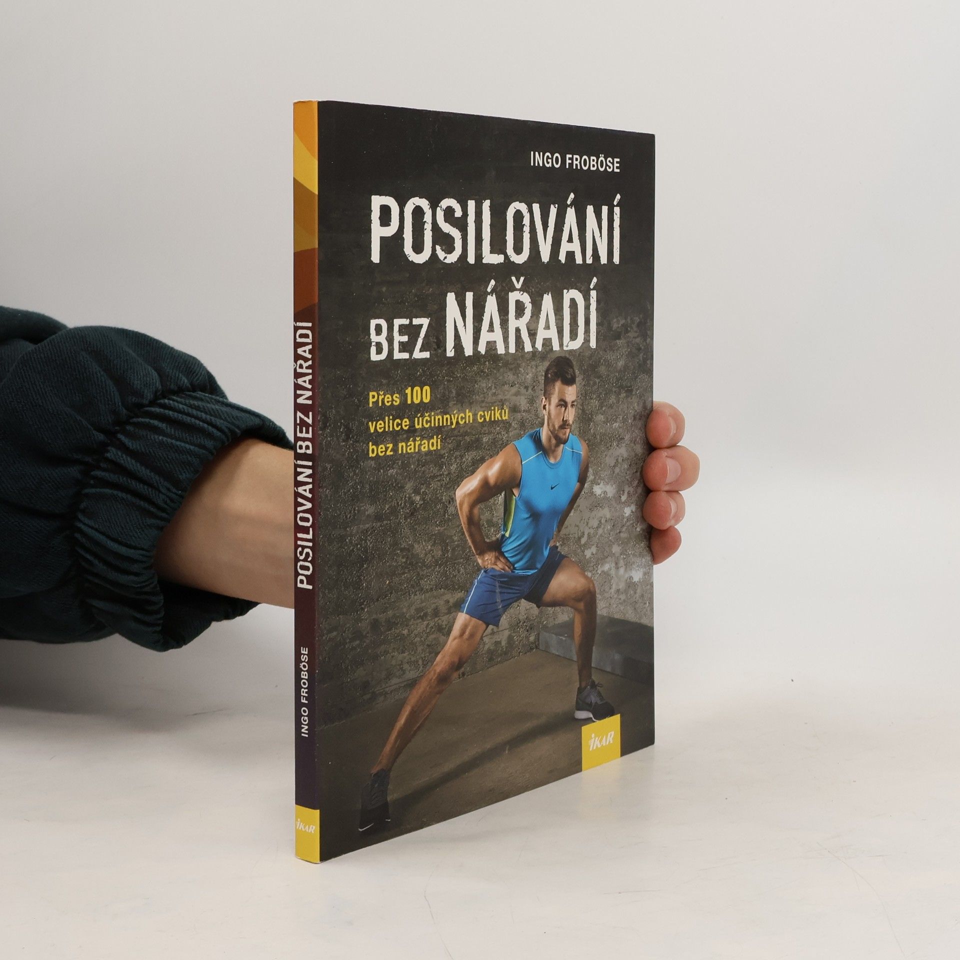 Ingo Froböse Posilování bez nářadí