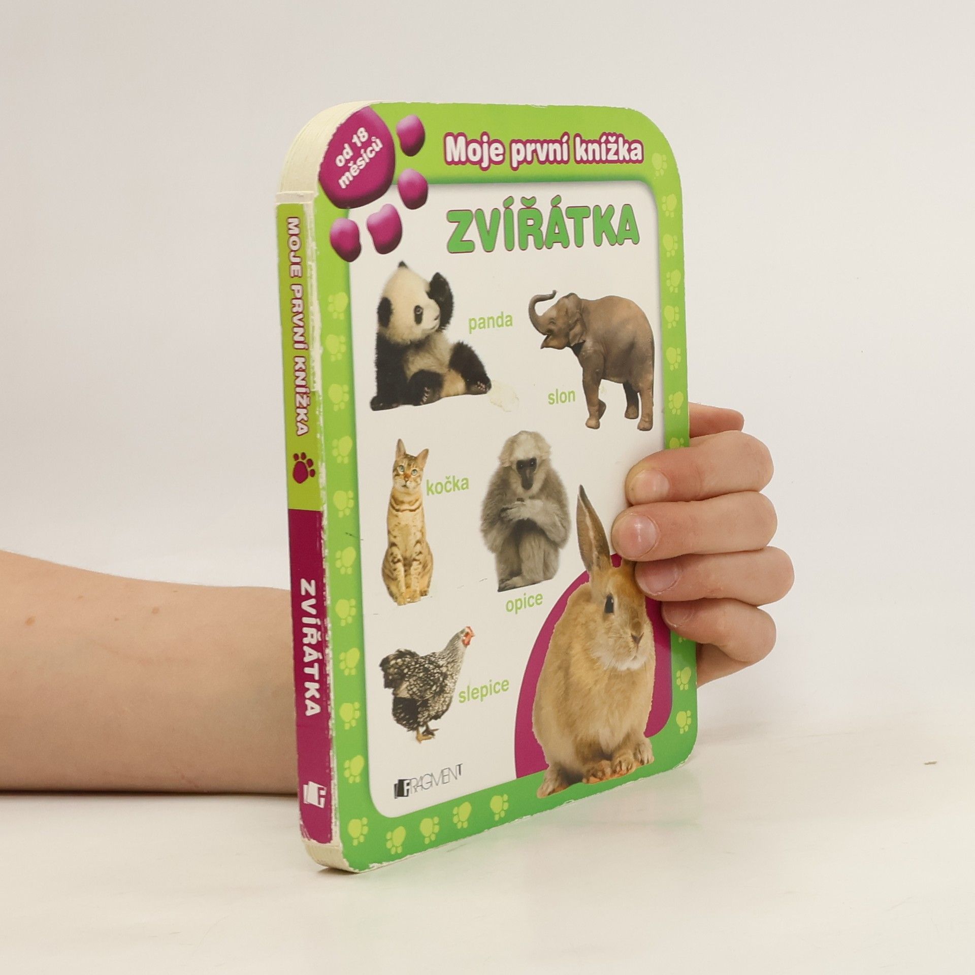 Collectif d'auteurs Zvířátka : moje první knížka