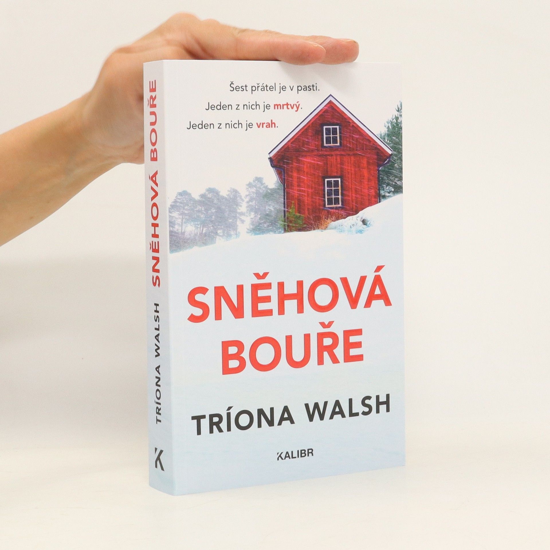 Tríona Walsh Sněhová bouře