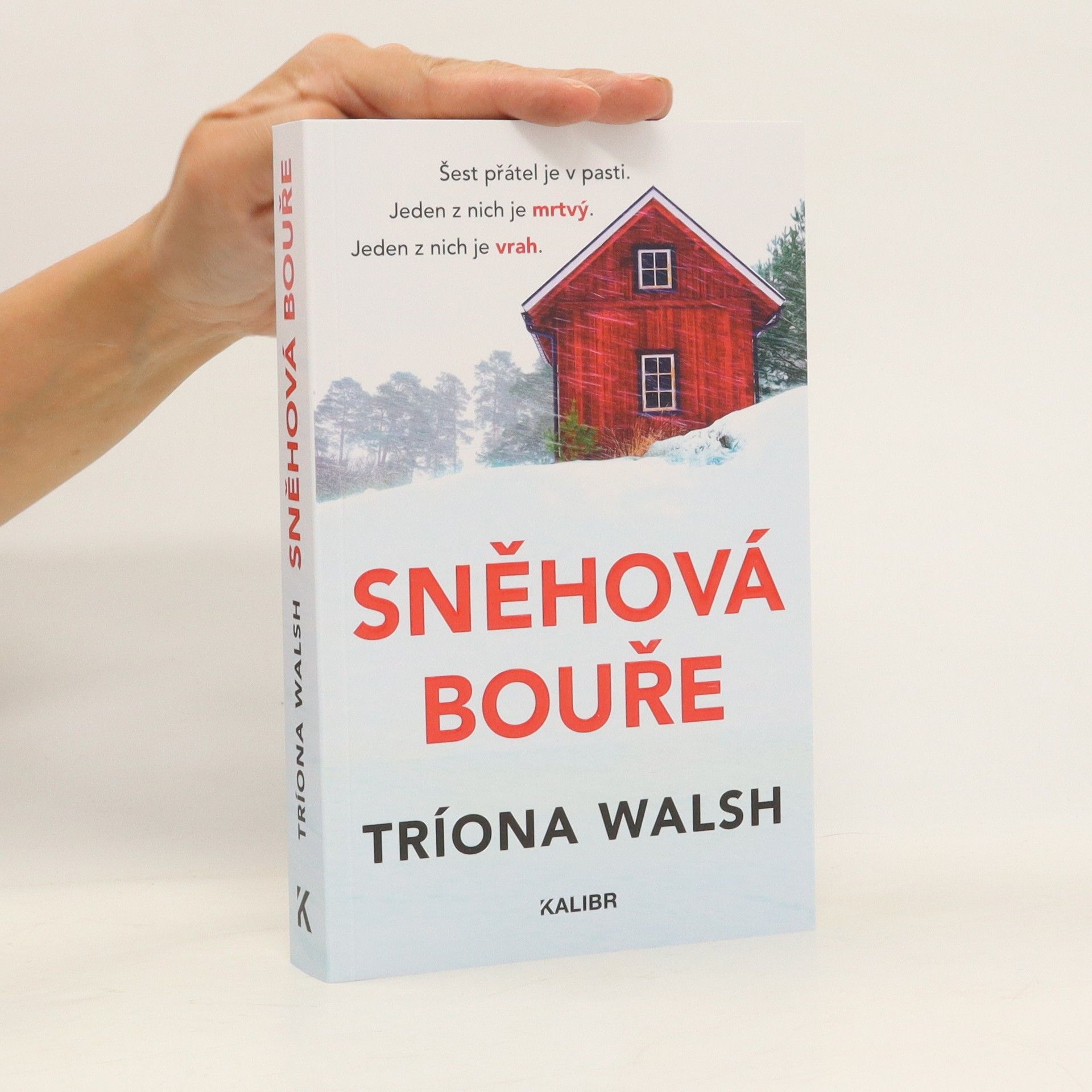 Tríona Walsh Sněhová bouře