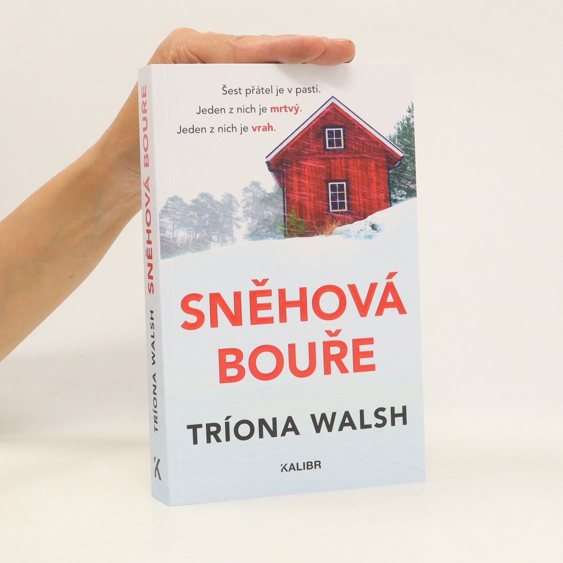 Tríona Walsh Sněhová bouře