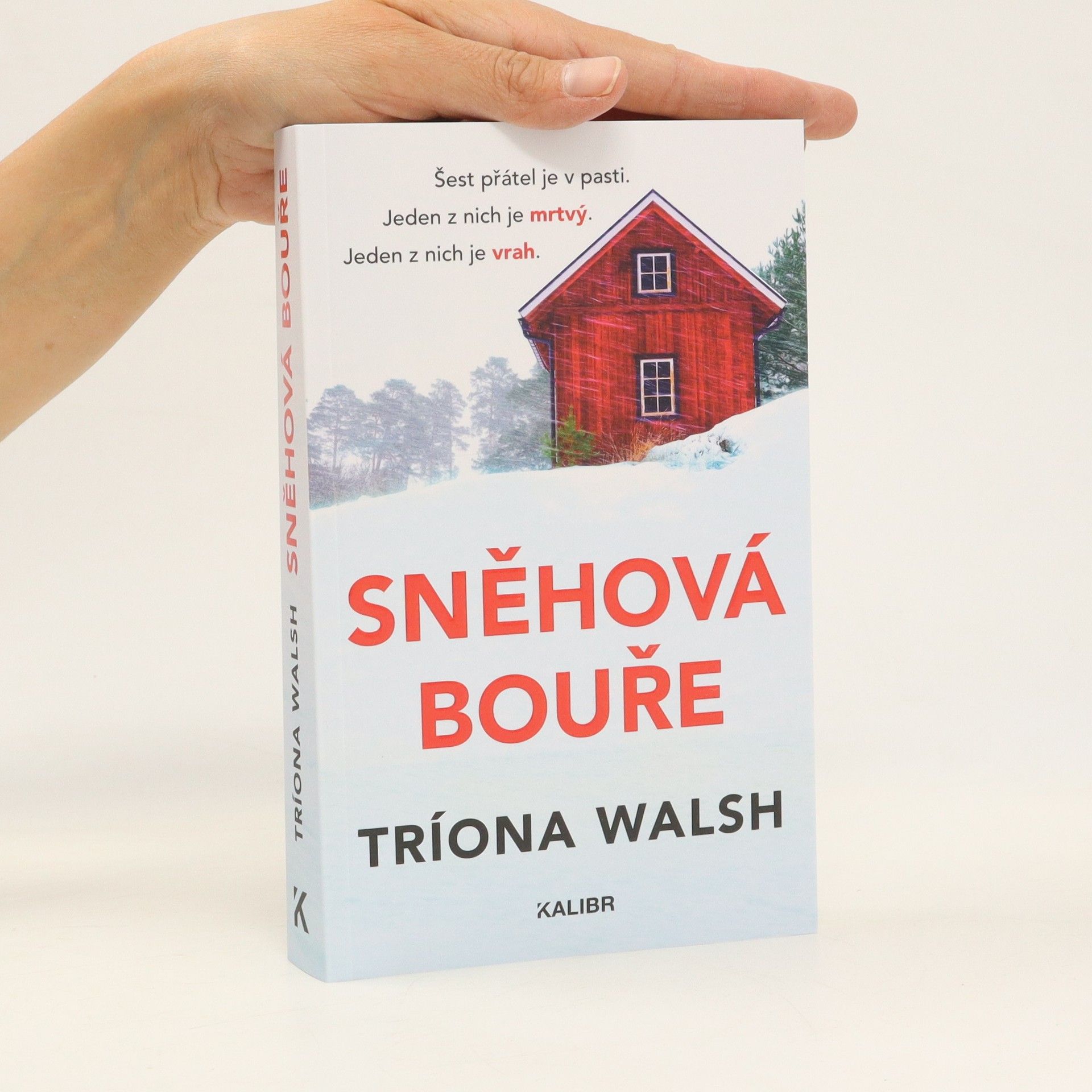 Tríona Walsh Sněhová bouře
