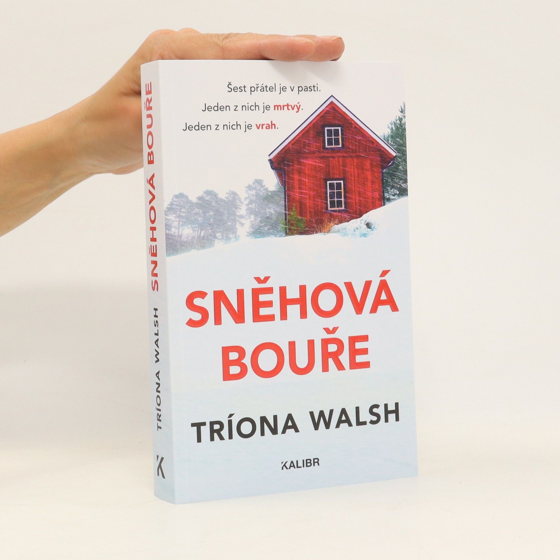 Tríona Walsh Sněhová bouře
