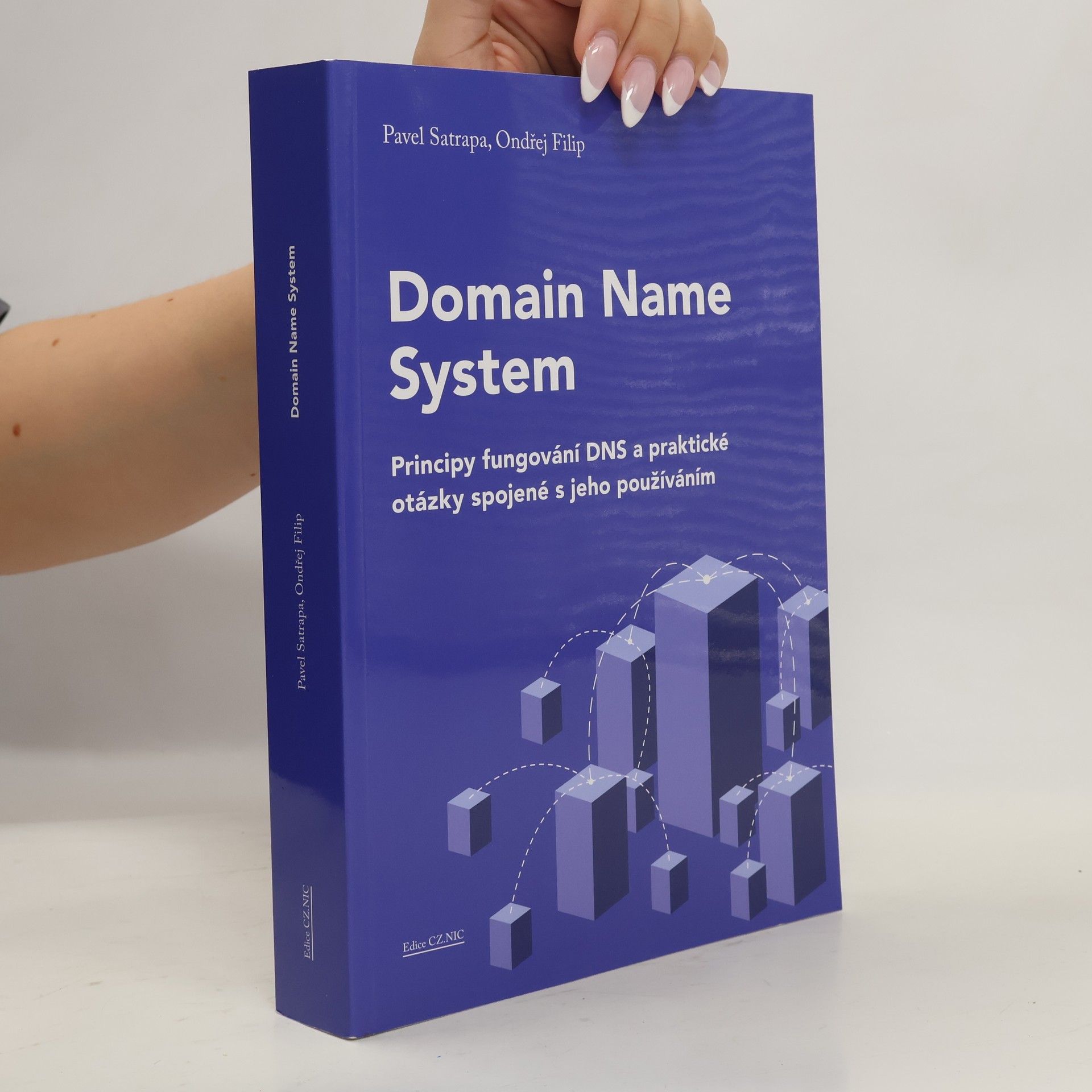 Pavel Satrapa Domain Name System - Principy fungování