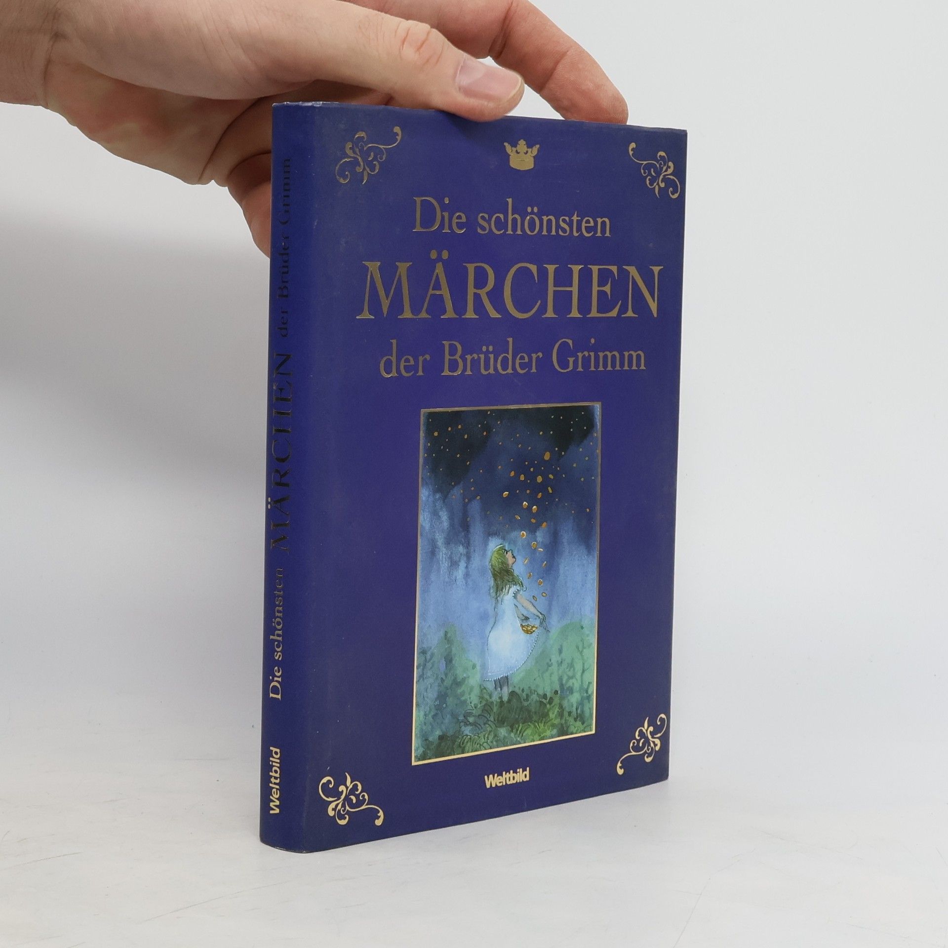 Collectif d'auteurs Die schönsten Märchen der Brüder Grimm