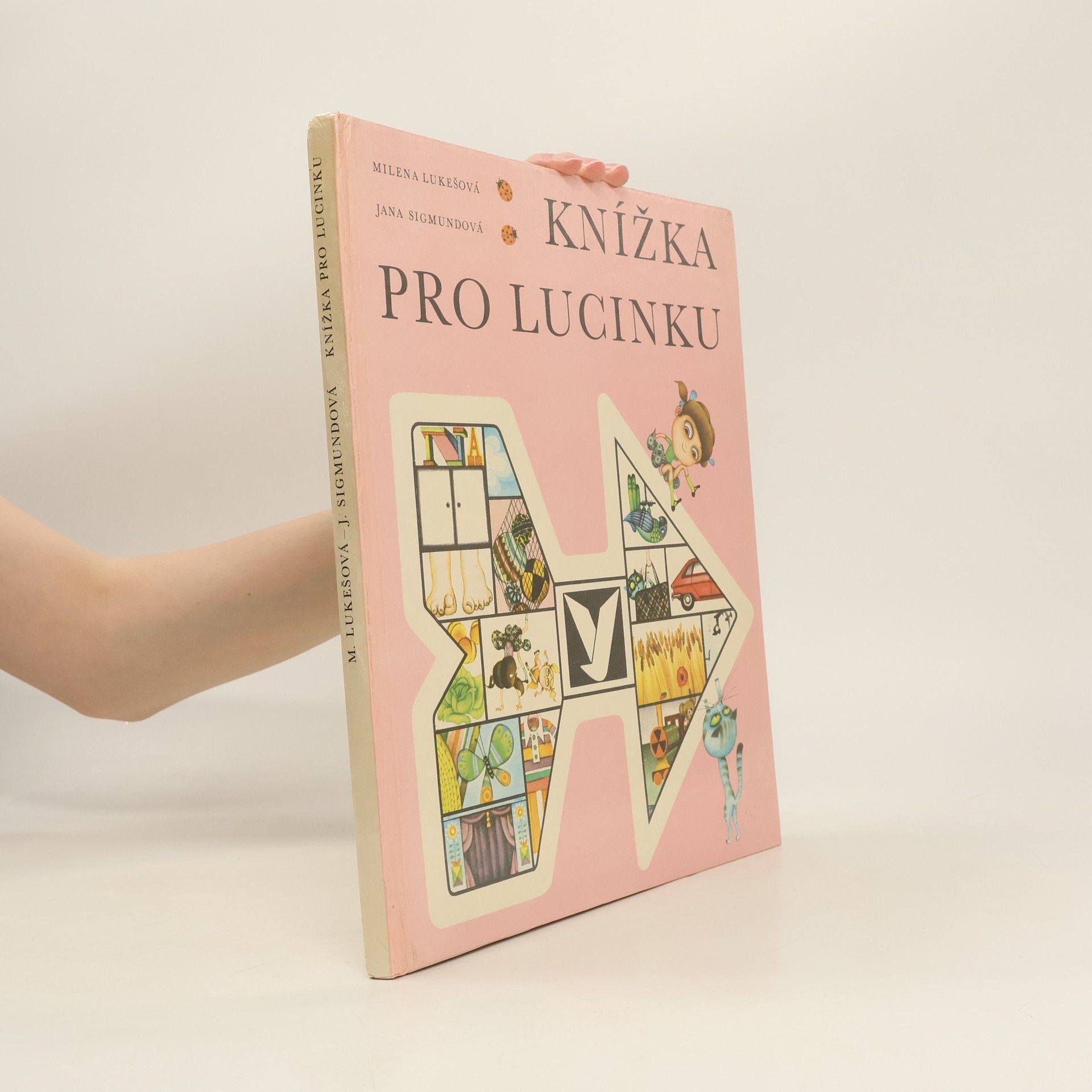 Jana Sigmundová Knížka pro Lucinku