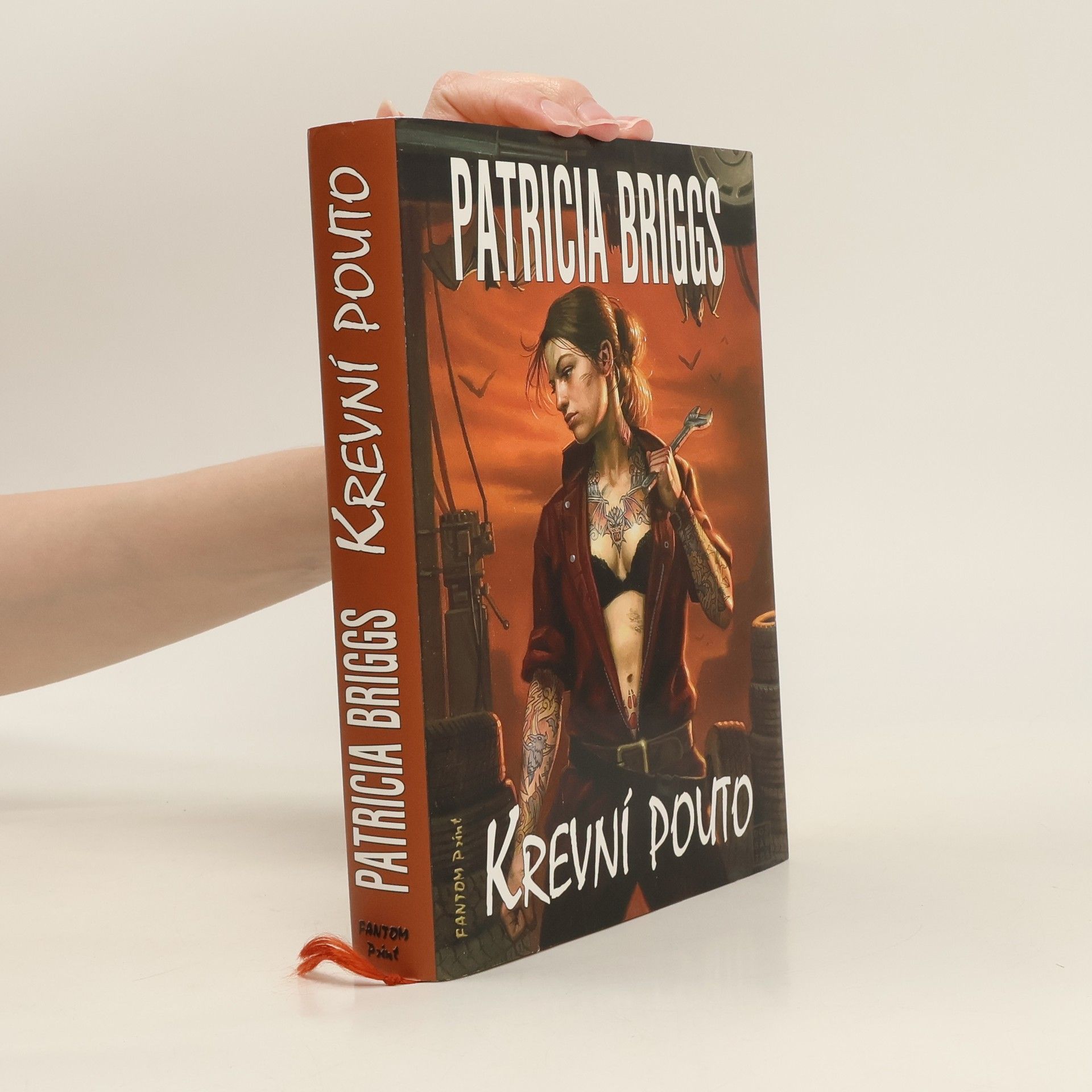 Patricia Briggs Krevní pouto