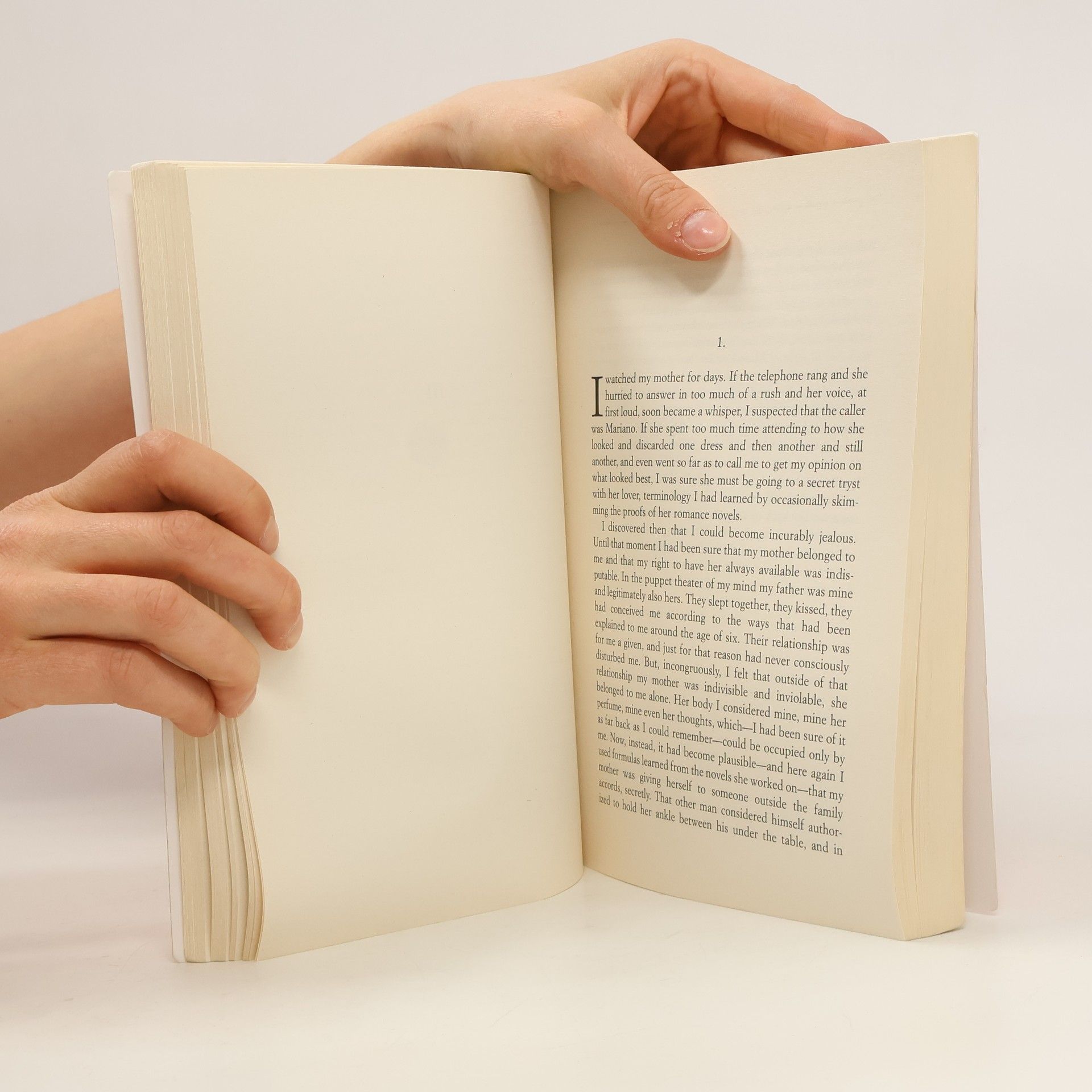 Elena Ferrante The Lying Life of Adults