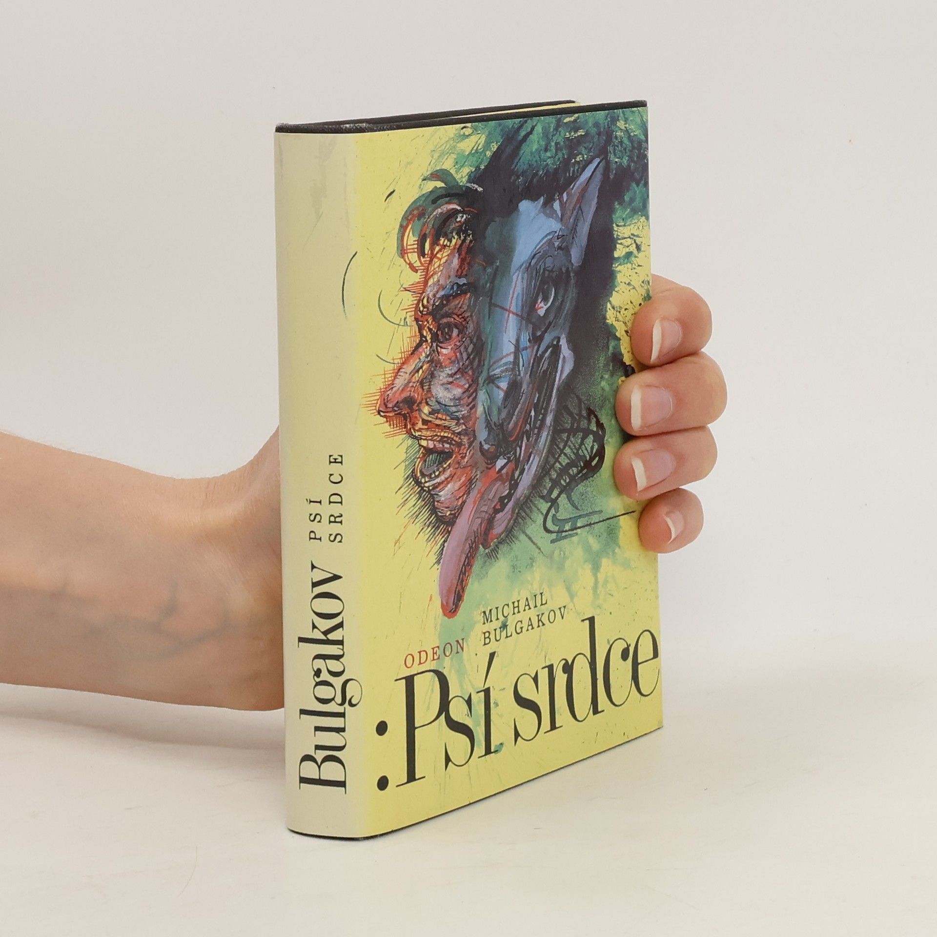 Michael Rittstein Psí srdce