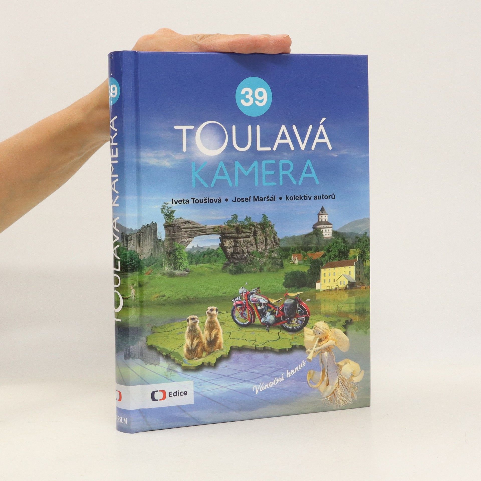 kolektiv Toulavá kamera 39