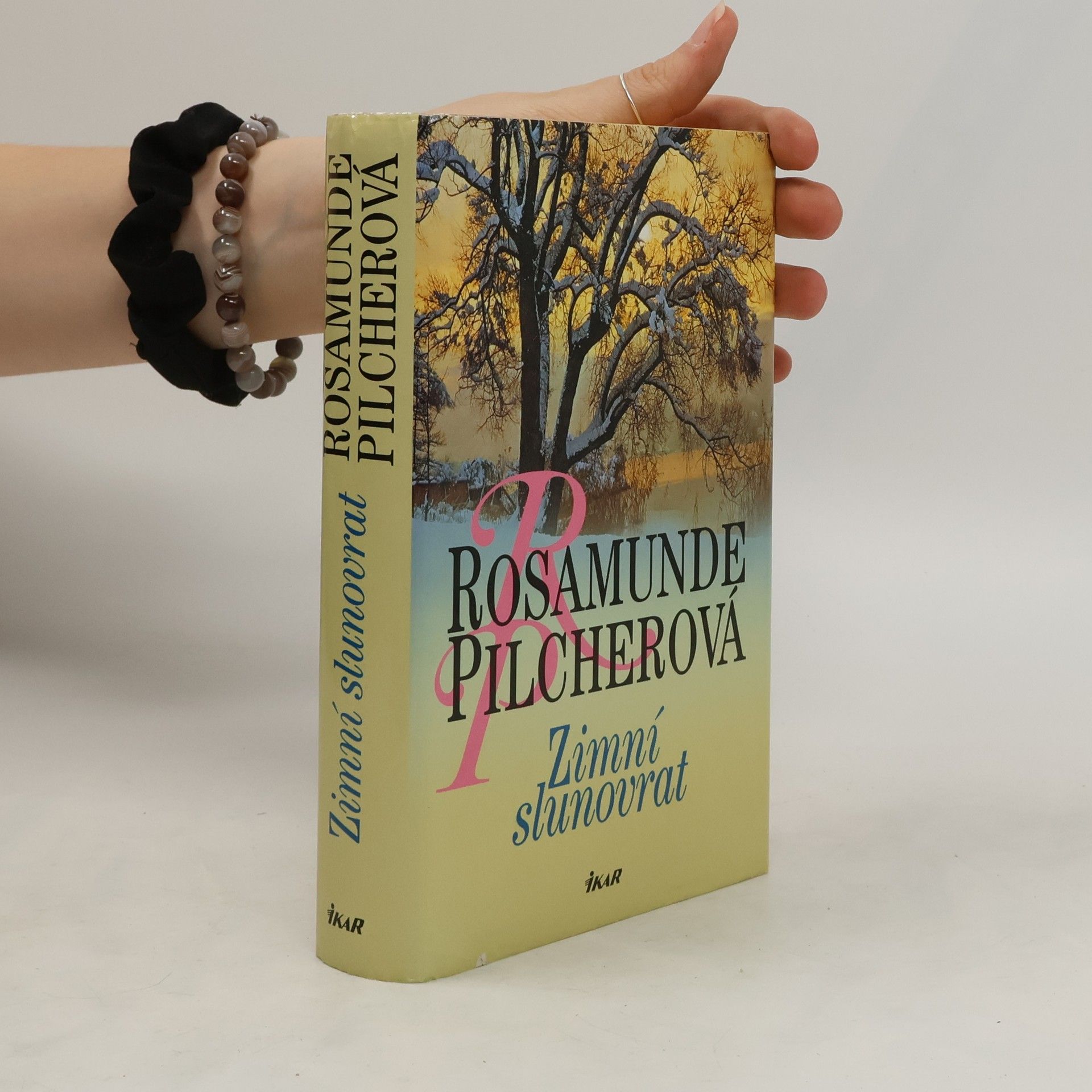 Rosamunde Pilcher Zimní slunovrat