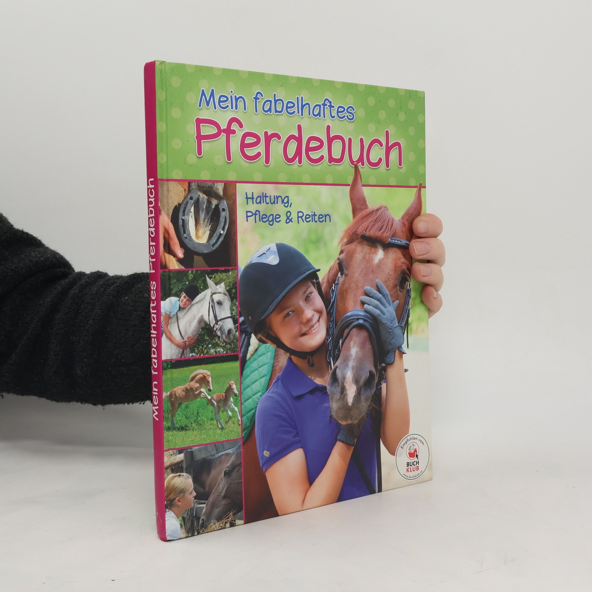 Autorenkollektiv Mein fabelhaftes Pferdebuch