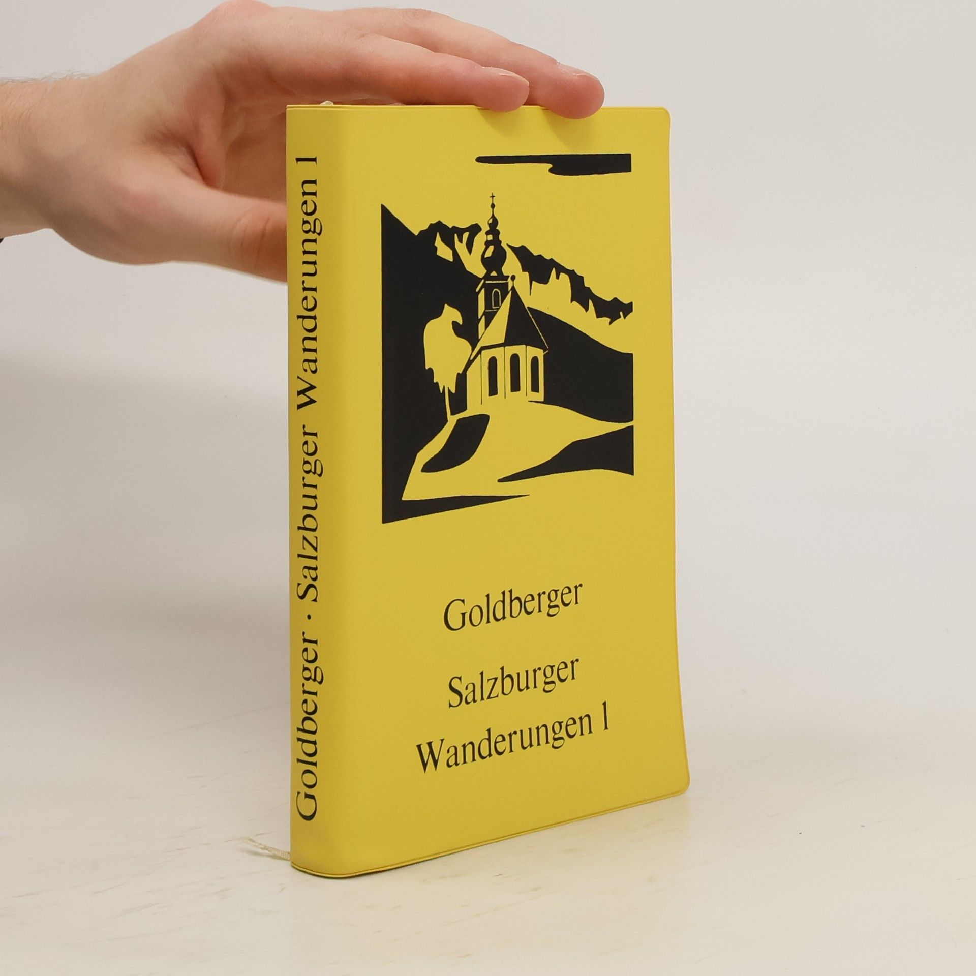 Goldberger Josef Salzburger Wanderungen 1 41 Wanderwege im Flachgau, Tennengau, nördlichen Pongau und Mitterpinzgau mit 41 Kartenskizzen, 16 Kunstdruckbildern u. Karte