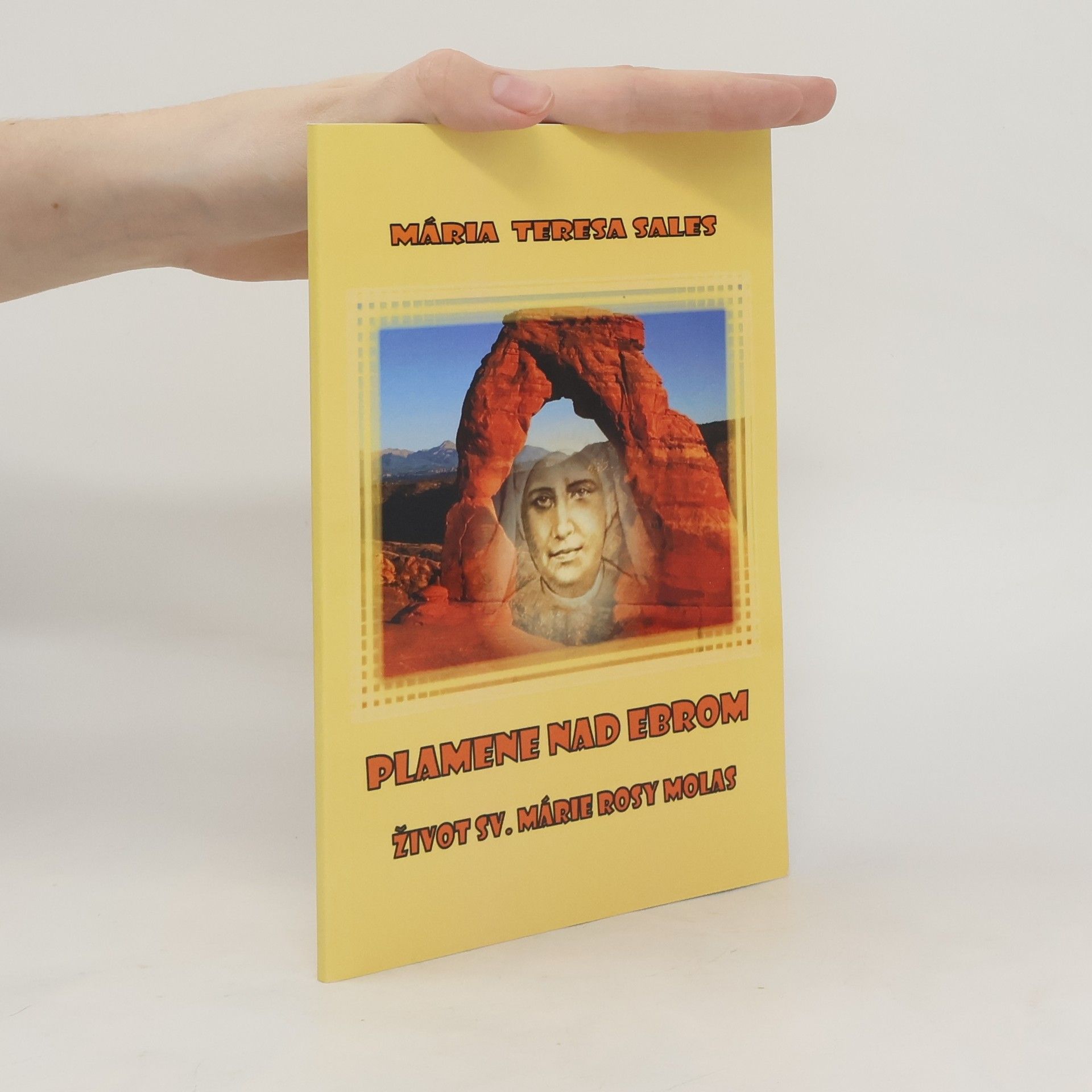 Mária Teresa Sales Plamene nad Ebrom: Život Sv. Márie Rosy Molas