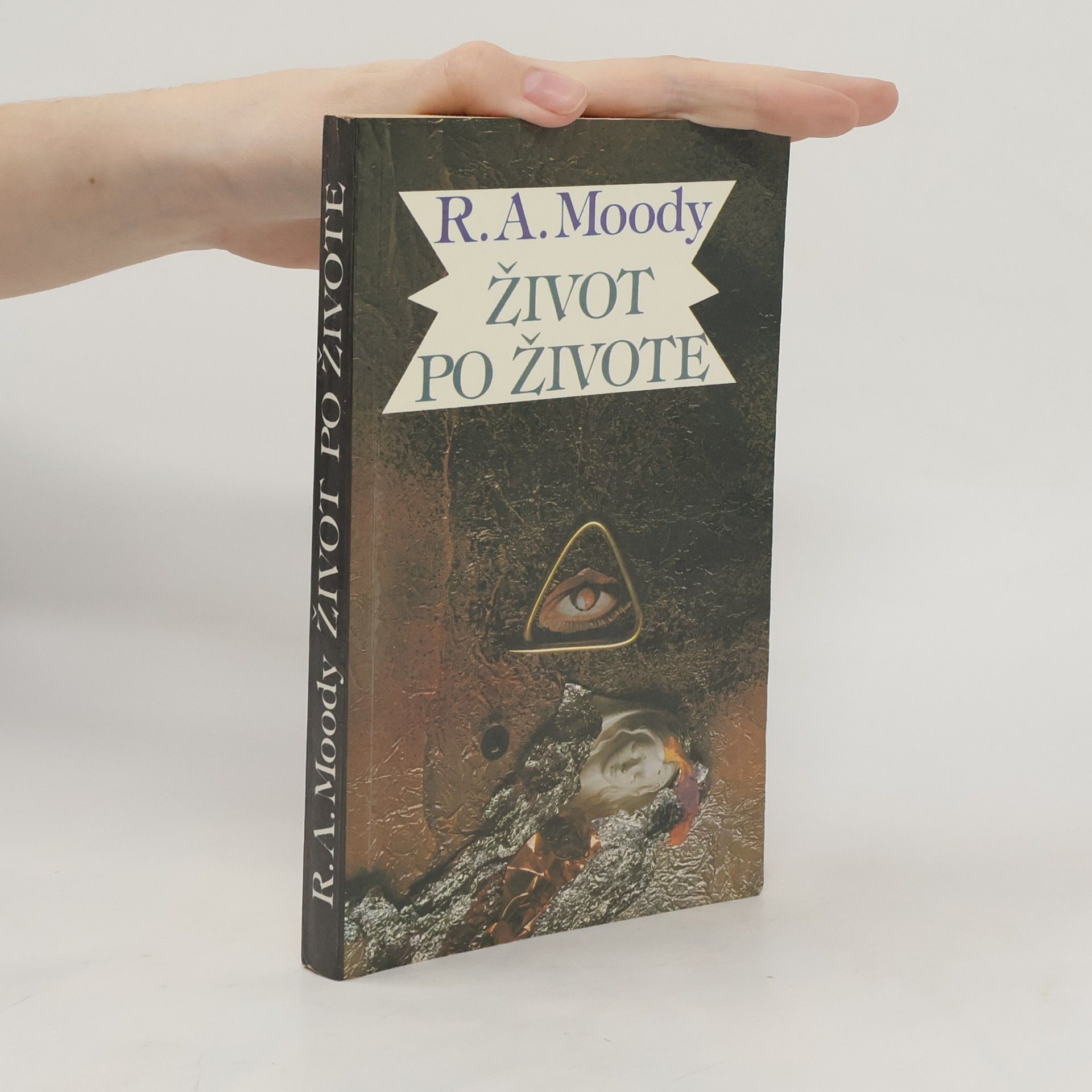 Raymond Moody Život po živote