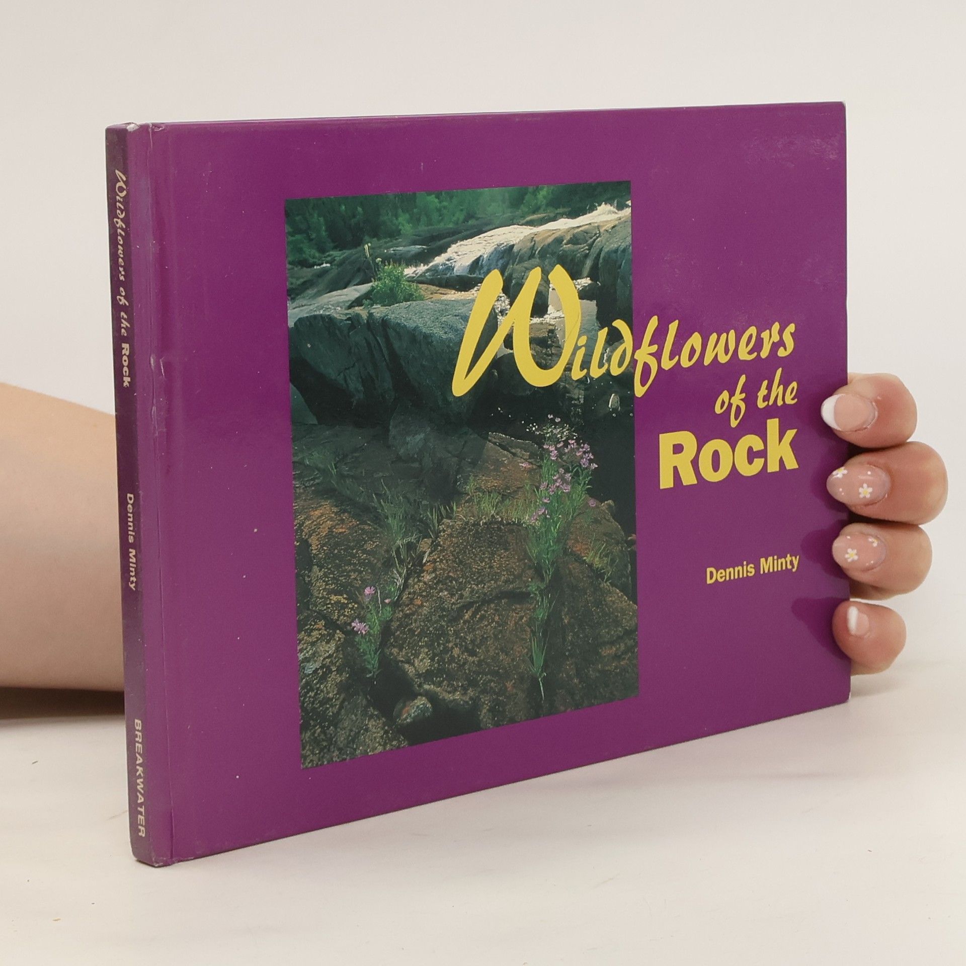 Dennis Minty Wildflowers of the Rock