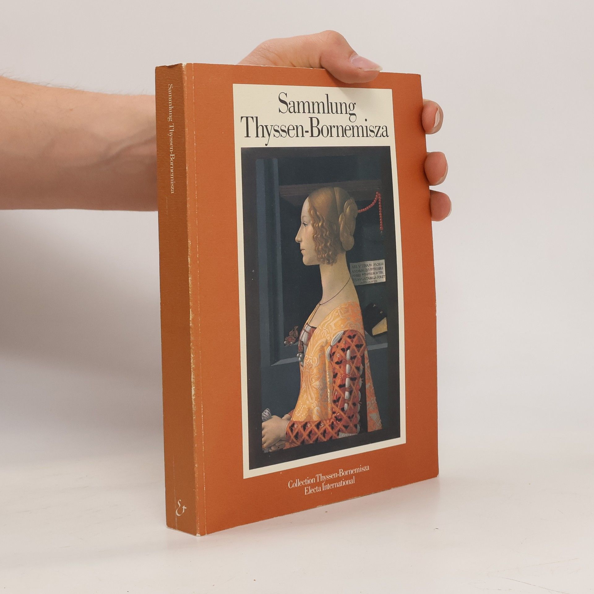Kolektiv autorů Sammlung Thyssen-Bornemisza