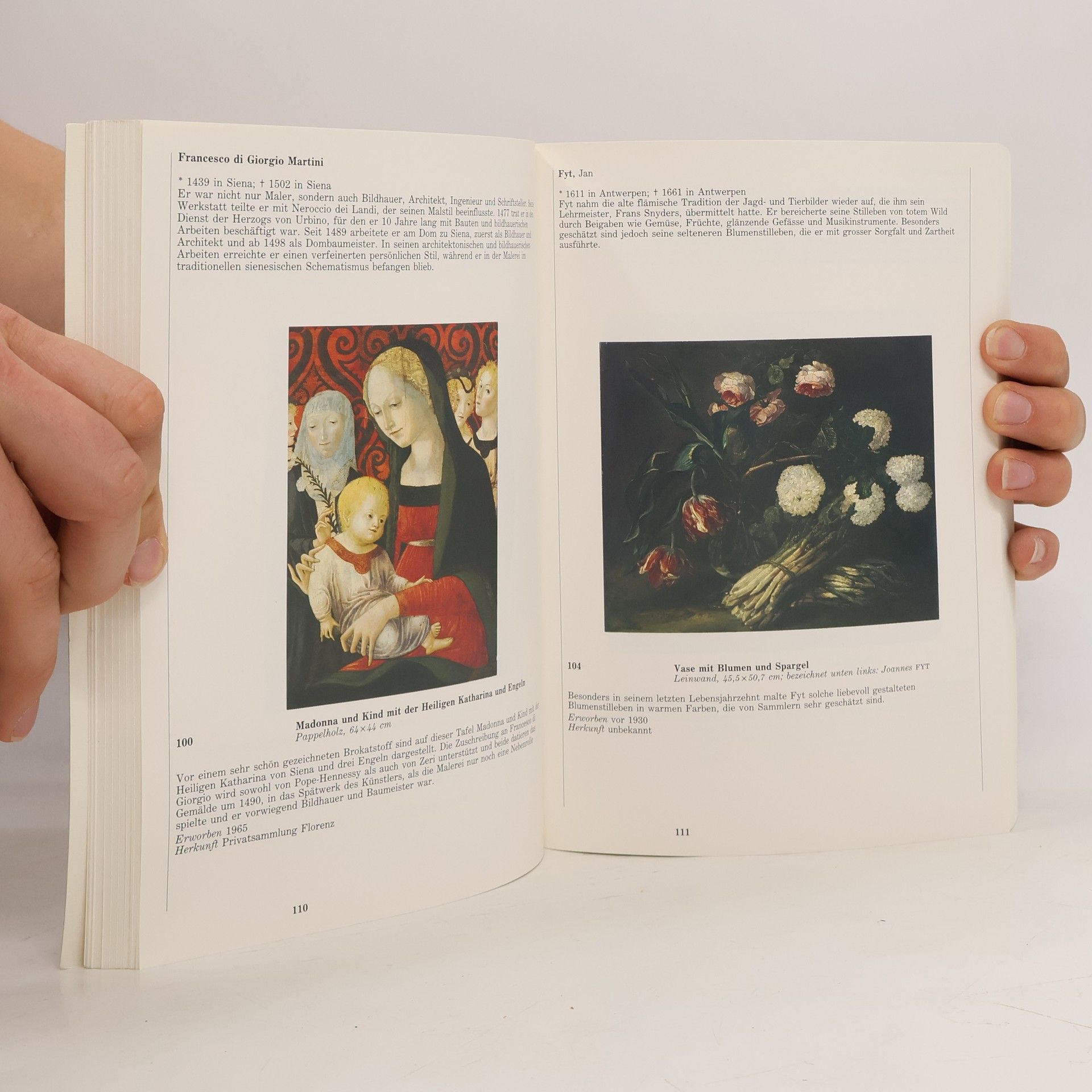 Kolektiv autorů Sammlung Thyssen-Bornemisza