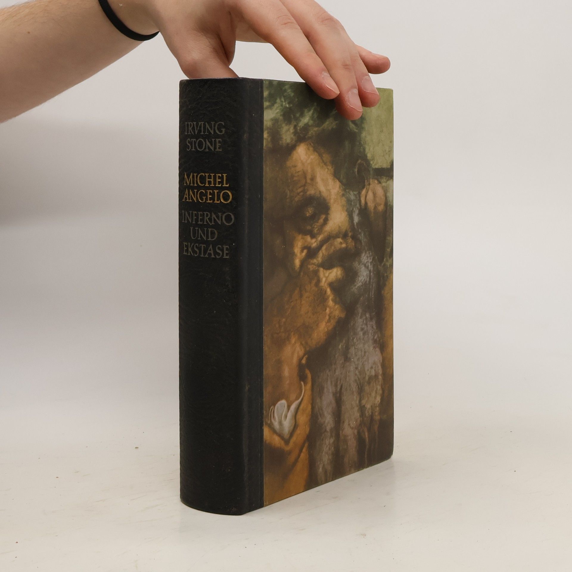 Irving Stone Michelangelo. Inferno und Ekstatse