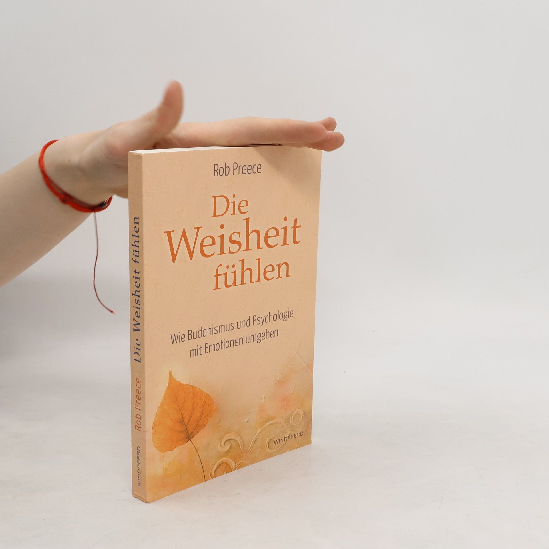 Rob Preece Die Weisheit fühlen