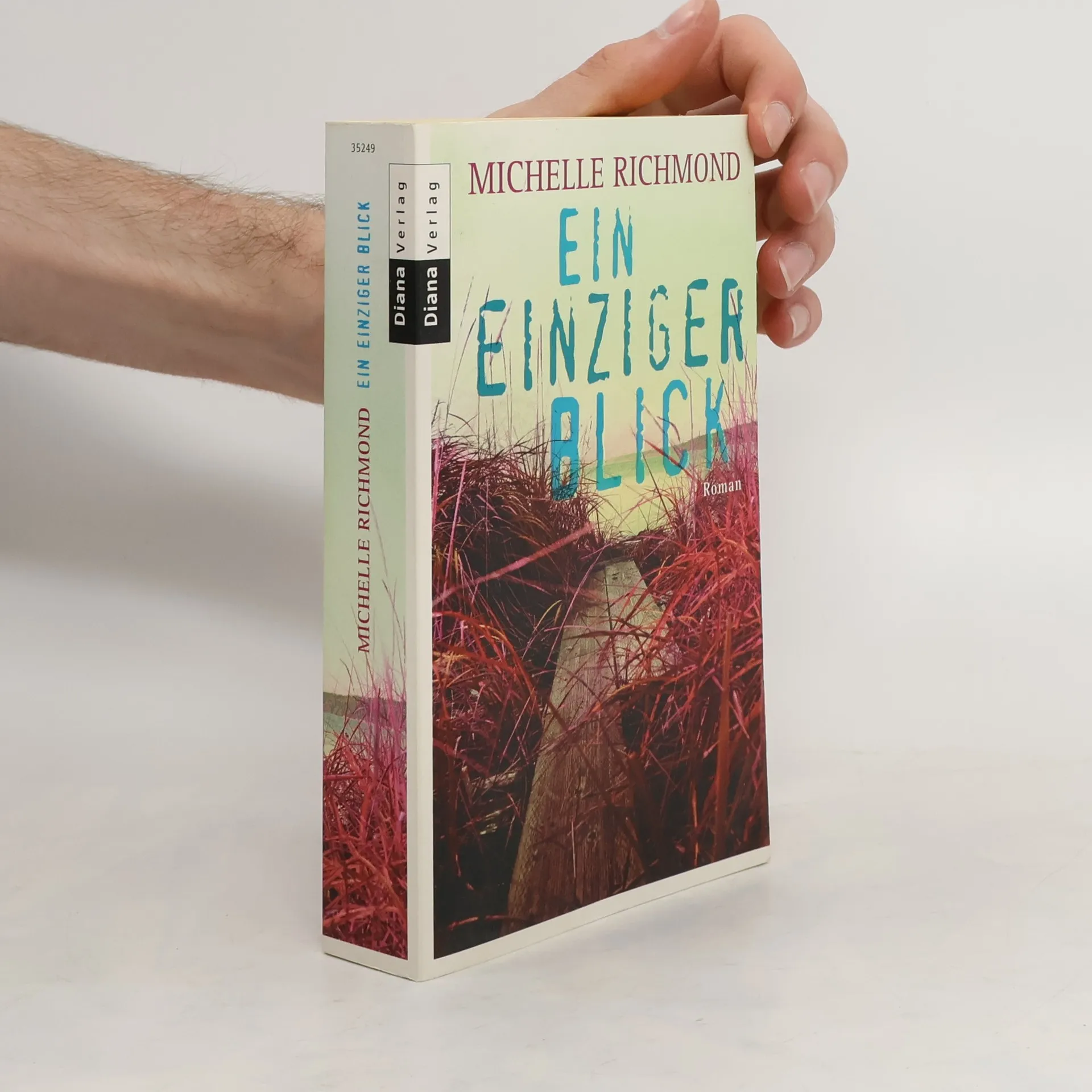 Ein einziger Blick | Buch | Paperback | Michelle Richmond